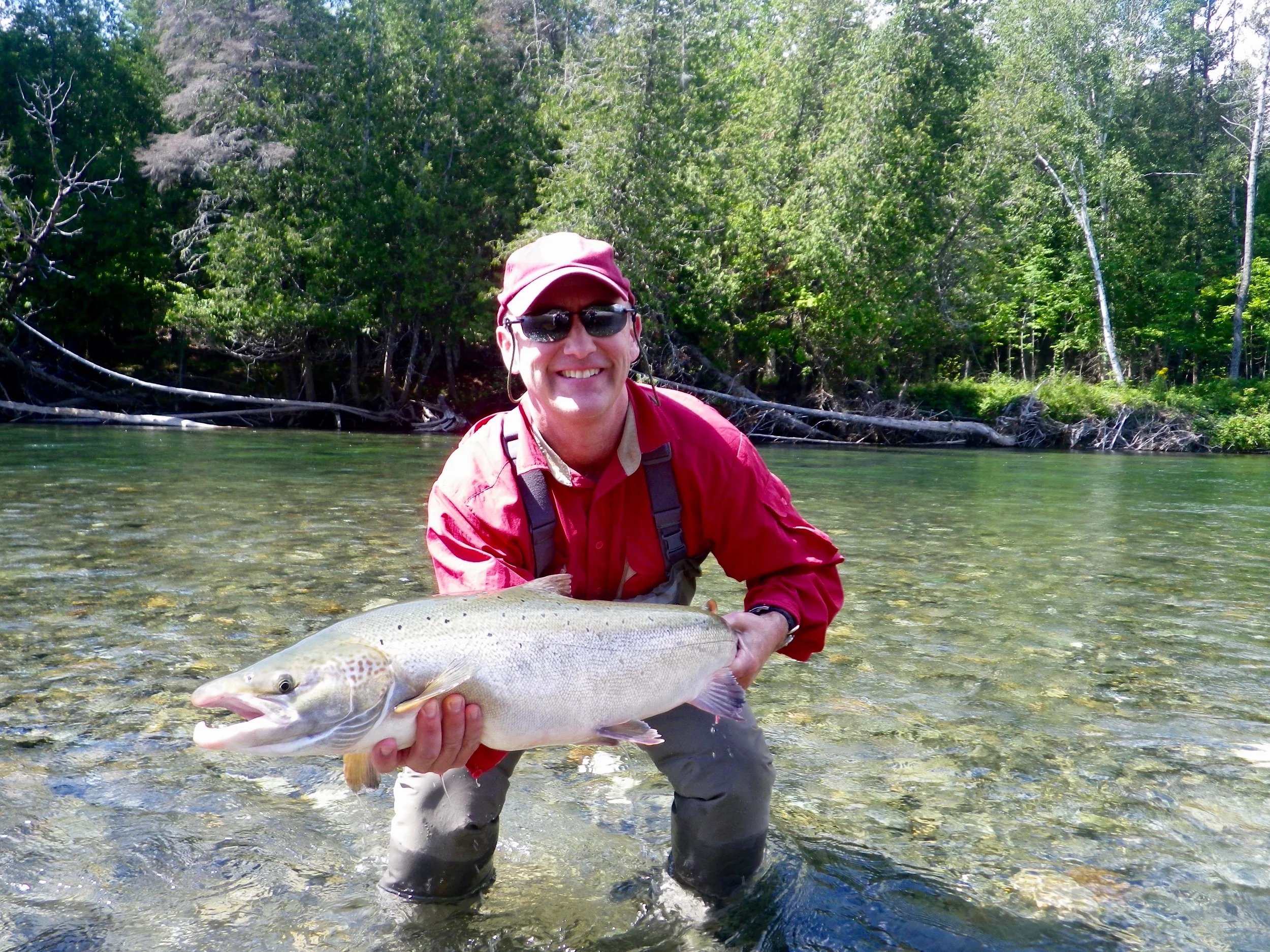  John Lowery has been coming to Camp Bonaventure for years, here he is with this is a fine fish on the Petite Cascapedia, nice on John!