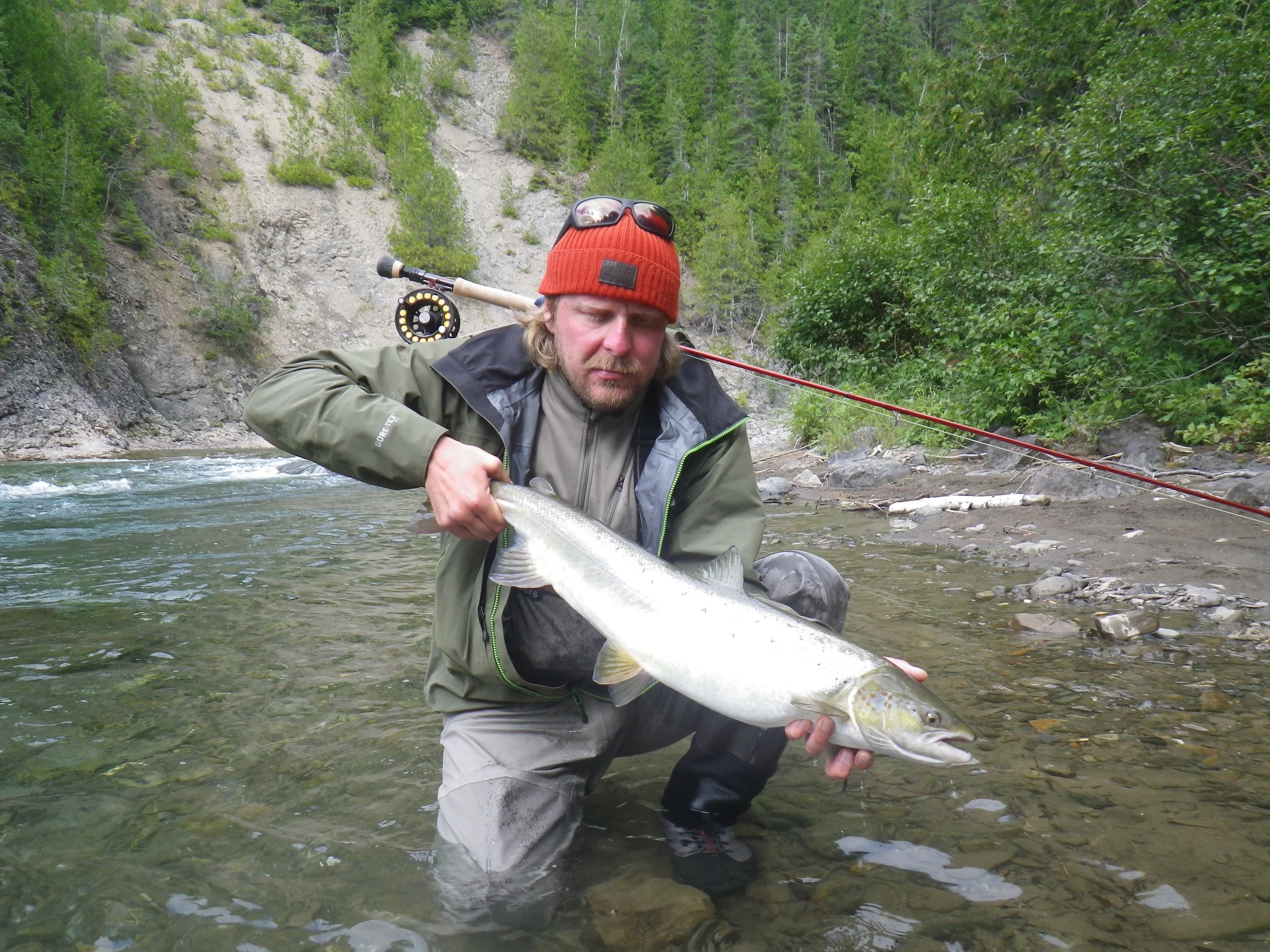 Tomi Liimatainen from Finland releases a fresh on back to the Bonaventure, nice salmon Tomi!