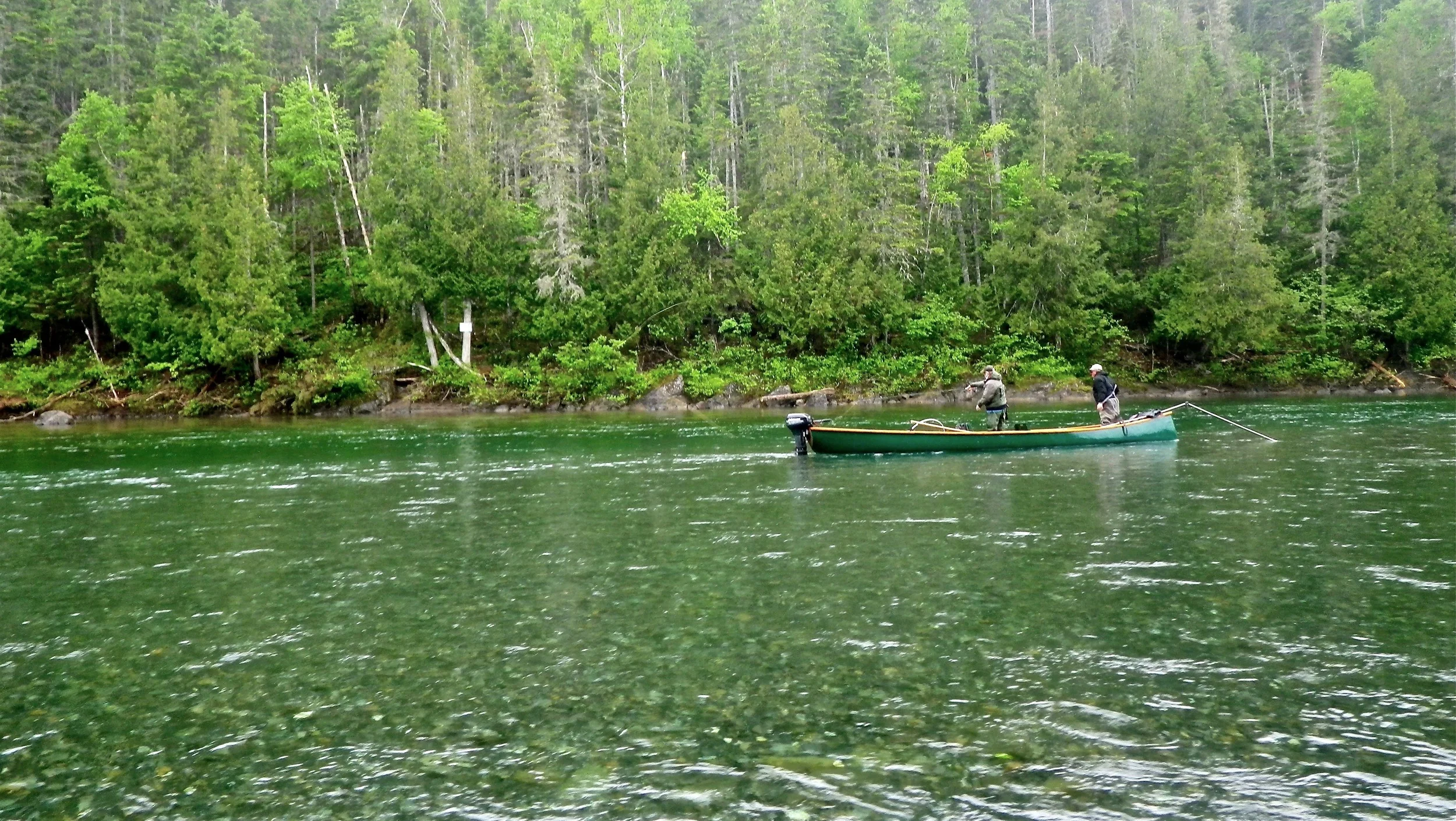 Looking for the first salmon of the season, they could be anywhere.