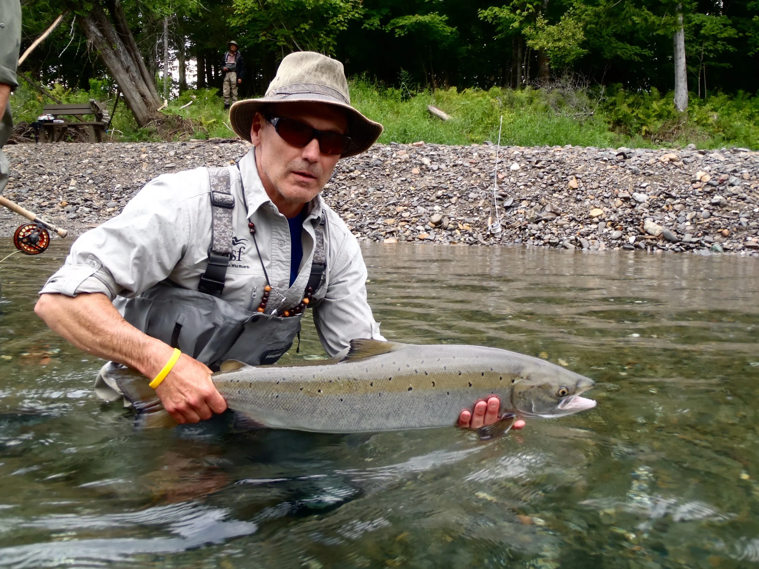 ASF President Bill Taylor puts one back to swim on the Petite Cascapedia, Nice one Bil!