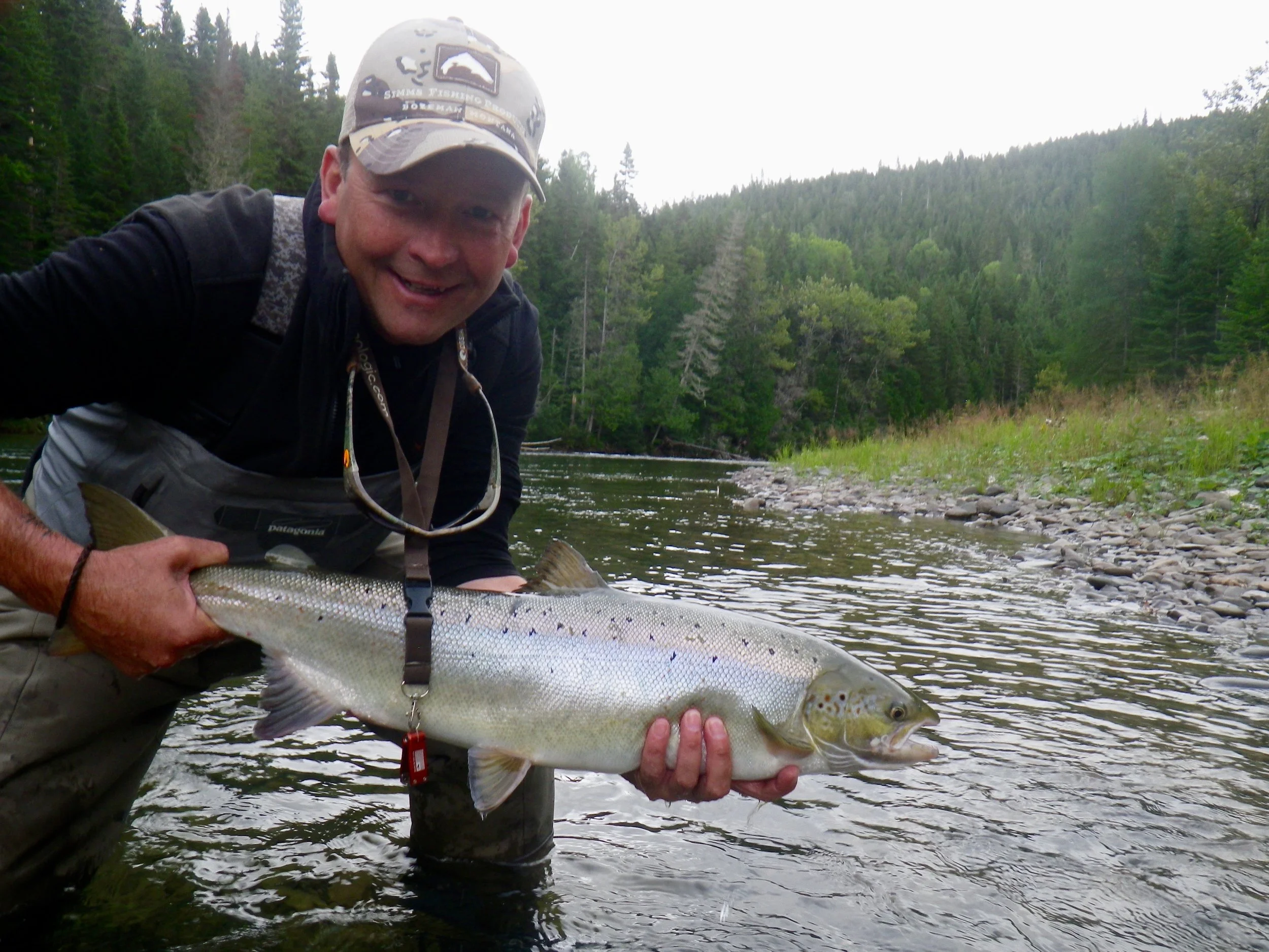 Gregory Cope landed a number of find salmon last week, here's a nice one from the Petite Cascapedia. nice salmon Gregory!