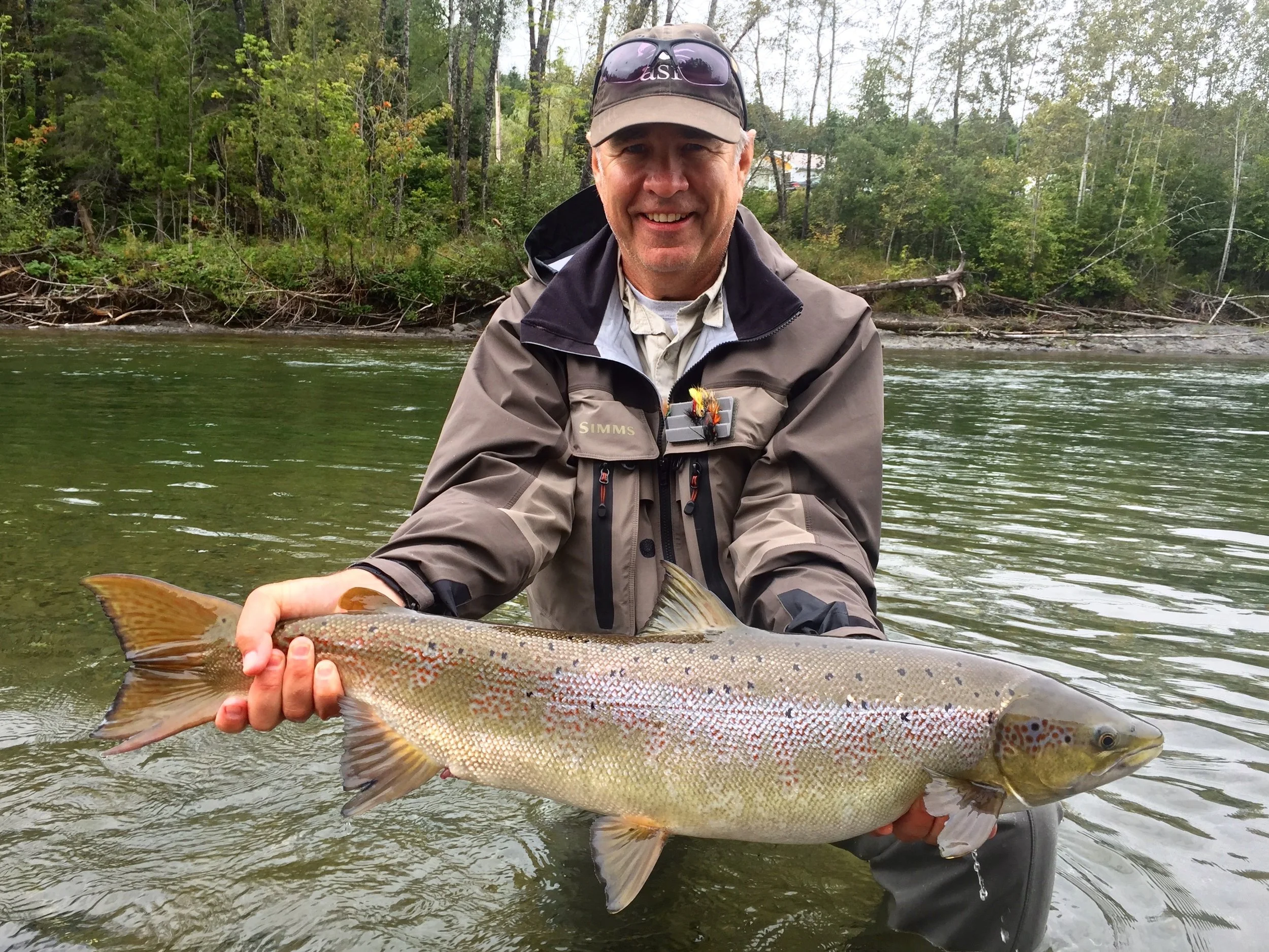 Tim McDonald Landed this fine one on the Petite Cascapedia, Nice salmon Tim!