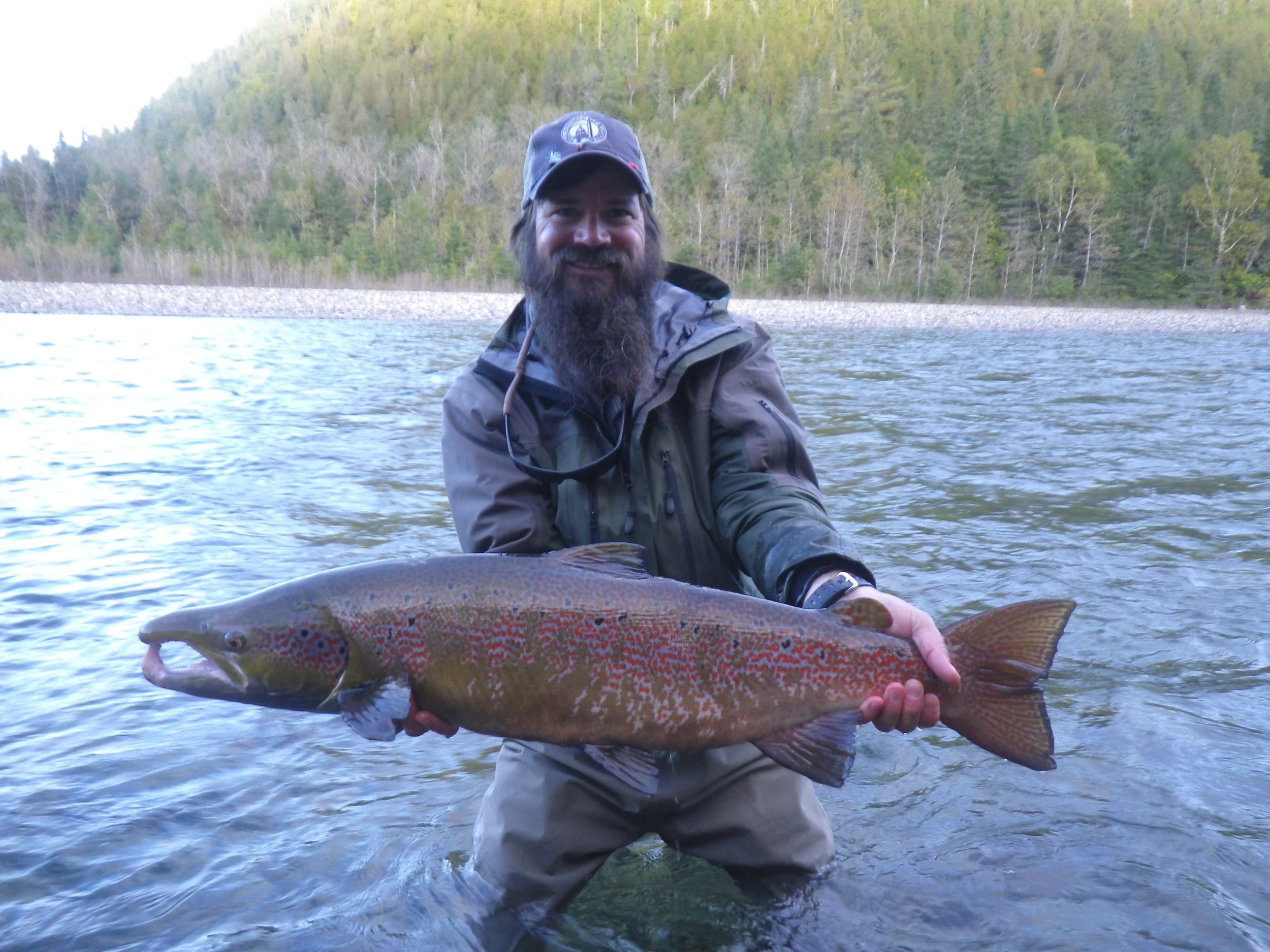 Dan Davala from Orvis Travel lands' this big male fish on the Bonaventure, wow, nice on Dan!