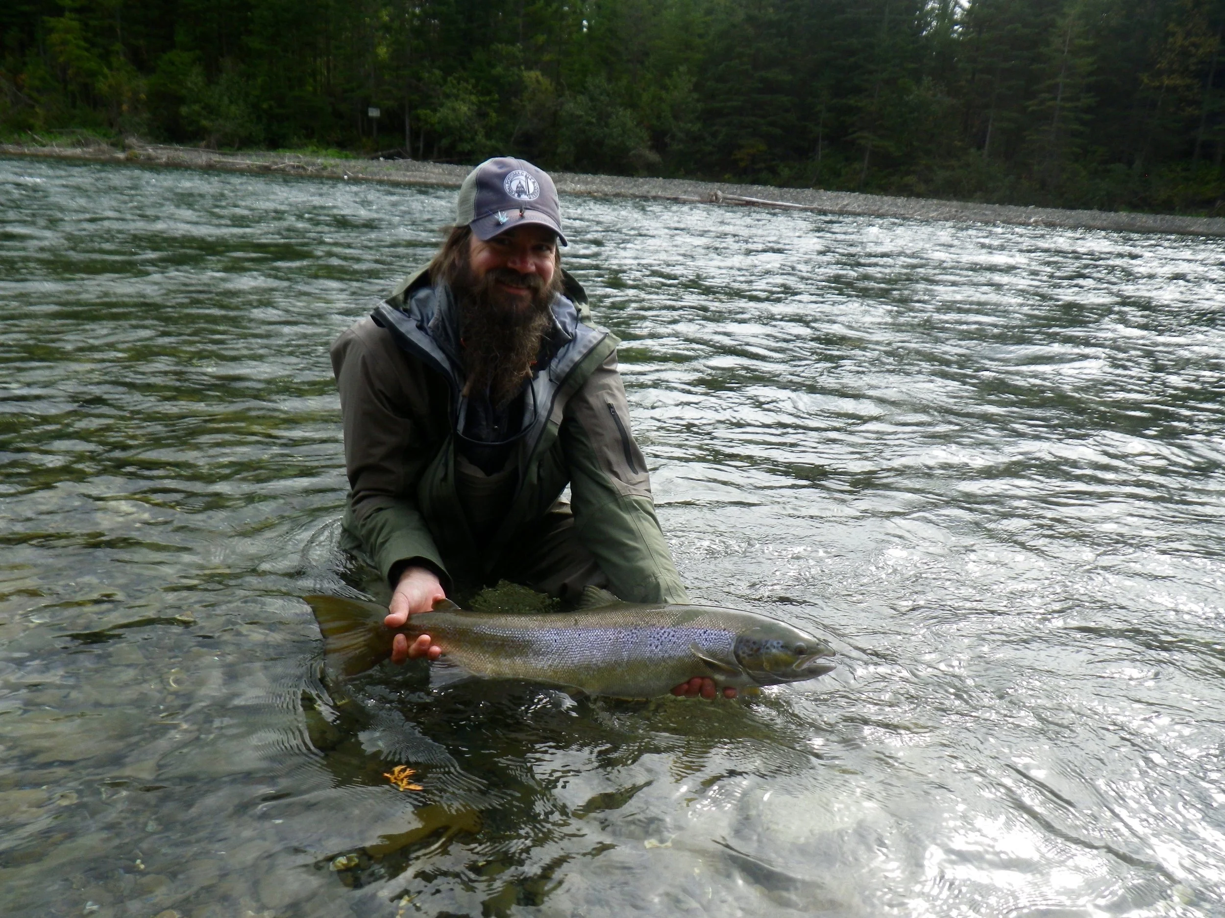 Dan Davala does it again!
