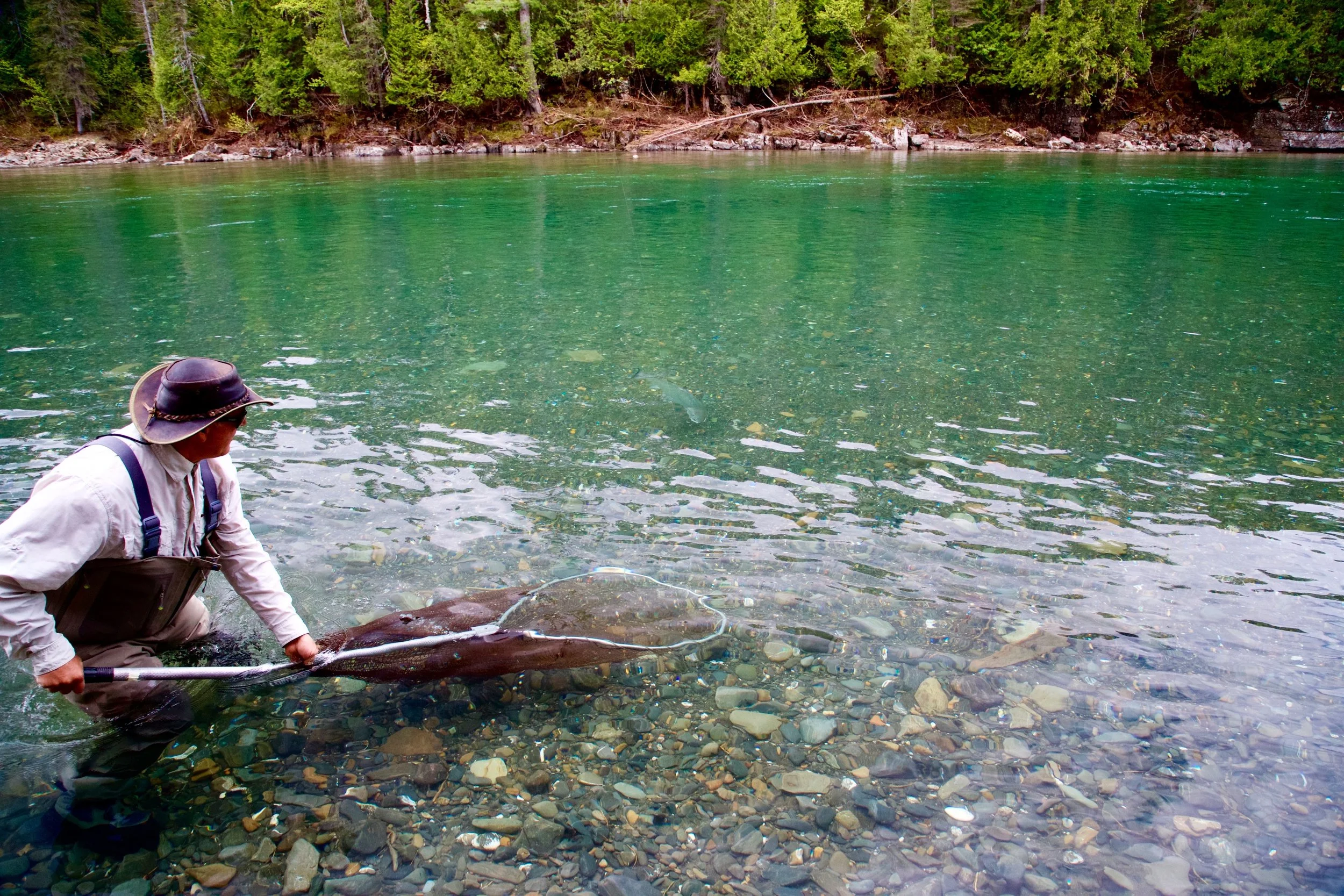 Camp Bonaventure guide Jean Marc Poirier nets the first one of the season for Dan Greenberg