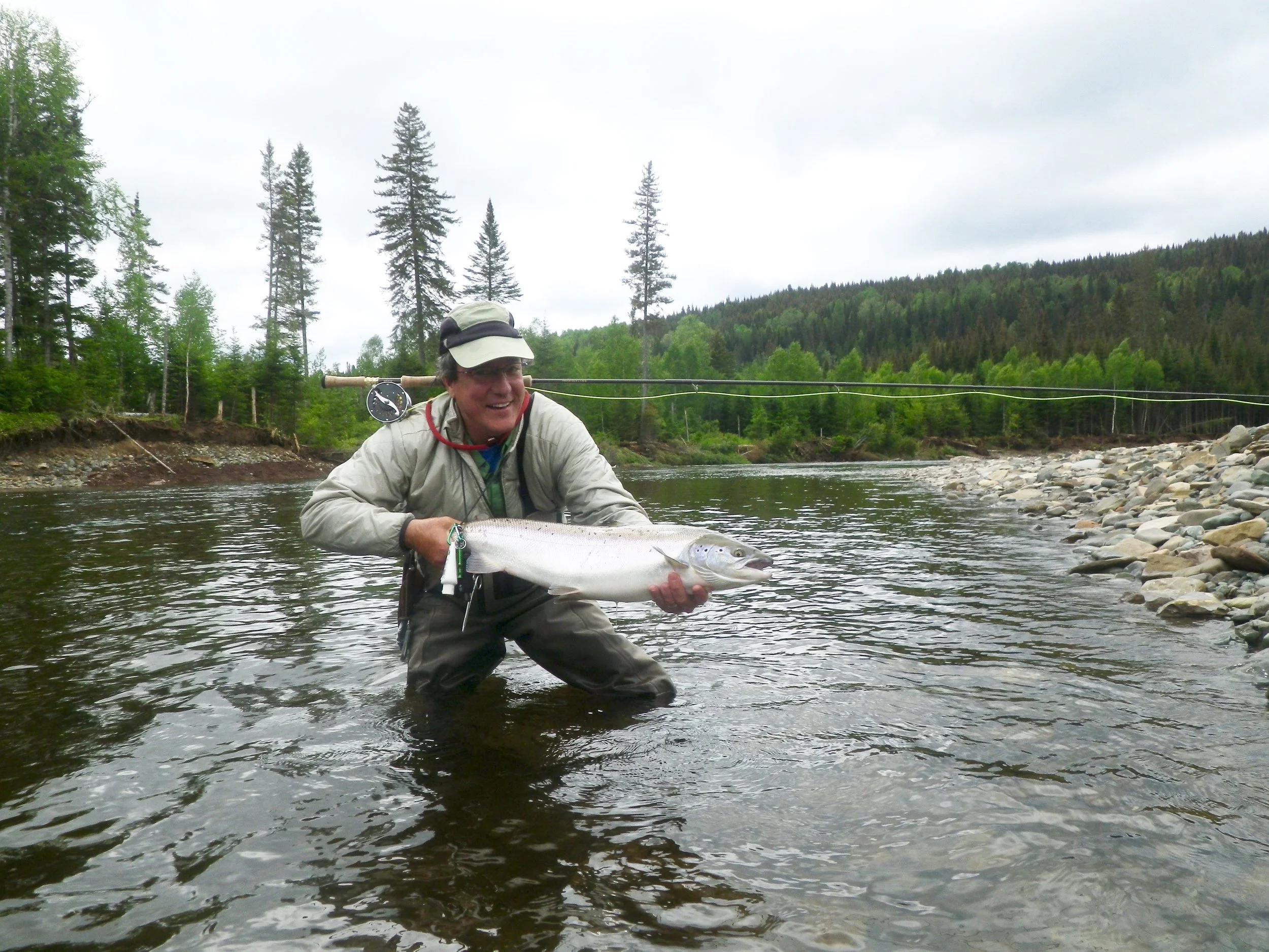 Long time Camp Bonaventure guest Pierre Vezina with a nice fresh run salmon, Nice job Pierre!