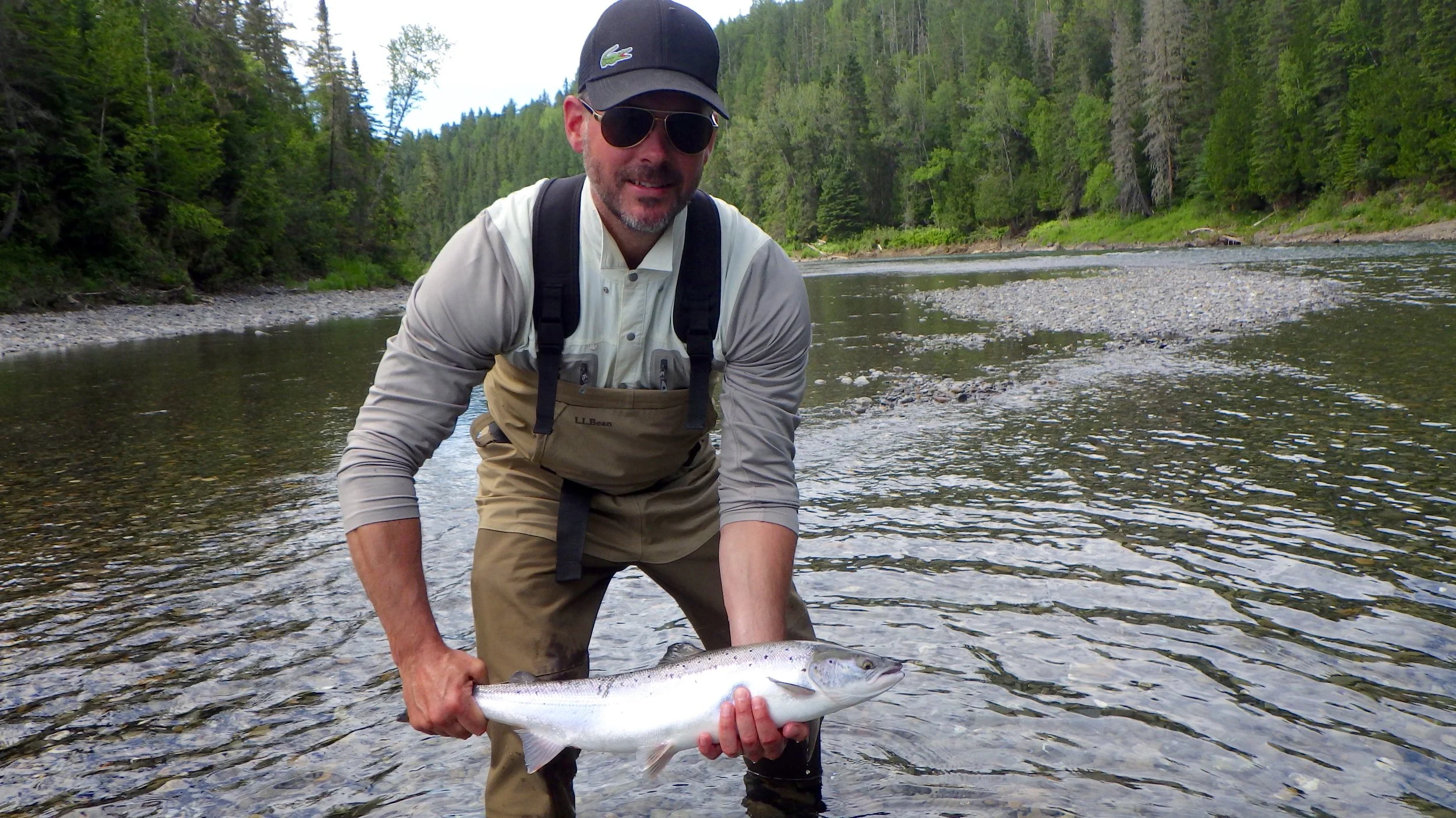 Todd Morrison has been a regular at Camp for many years, a nice grilse starts the season well. Nice one Todd!