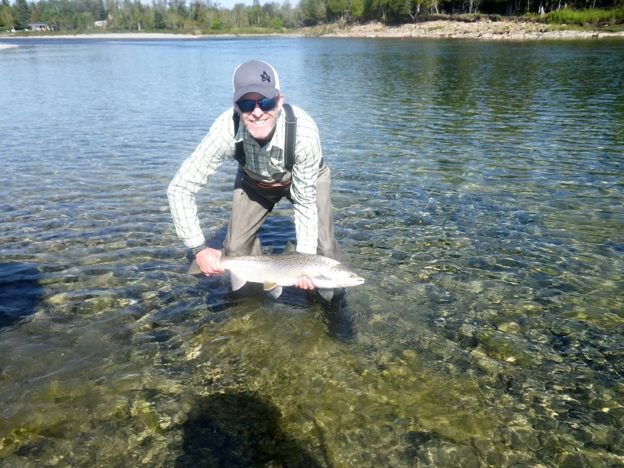Craig Fowler landed this nice fresh salmon on our Poirier pool, congratulations Craig!