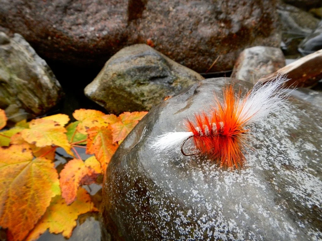 A special late season dry fly.