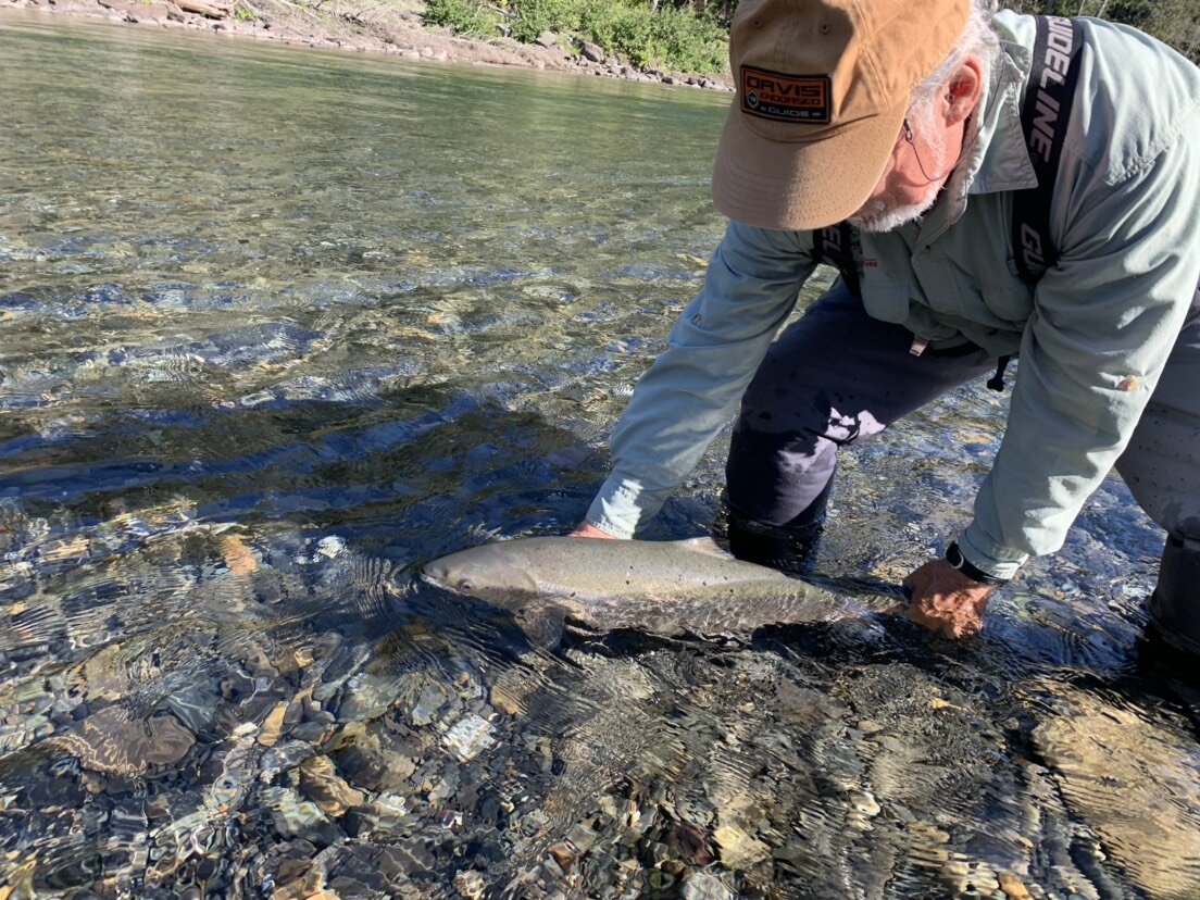 Shout-out to Keith Lovelock who landed this wonderful salmon during his all too short stay with us at Camp Bonaventure! In the picture we have guide Jacques Bernard releasing Keith’s salmon back home!
