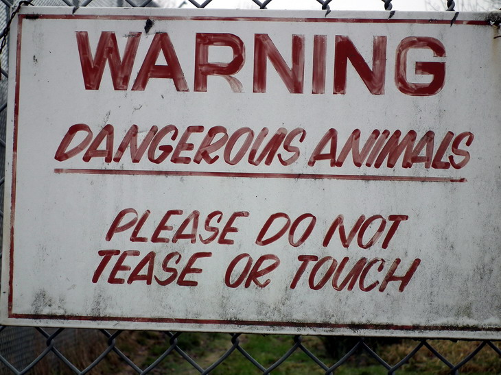 Why setting up an agency in London shouldn’t be like collecting the finest of animal specimens for a zoo