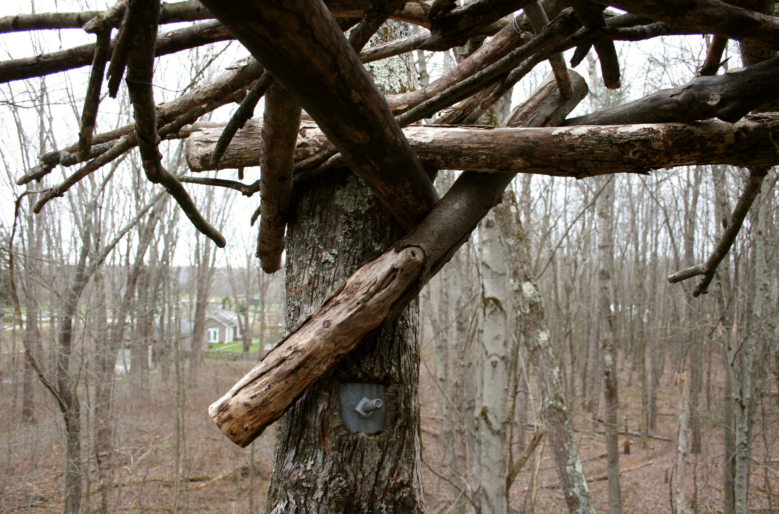 Treehouse_NW_Corner_detail.JPG