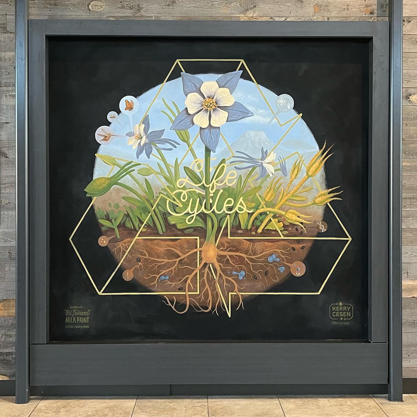 Recently finished this interior botanical mural for @denverpremoutlets in Thornton, Colorado. 

This mural features Colorado&rsquo;s state flower, the Blue Columbine. The design shows the various stages of the plant&rsquo;s life cycle, while several 