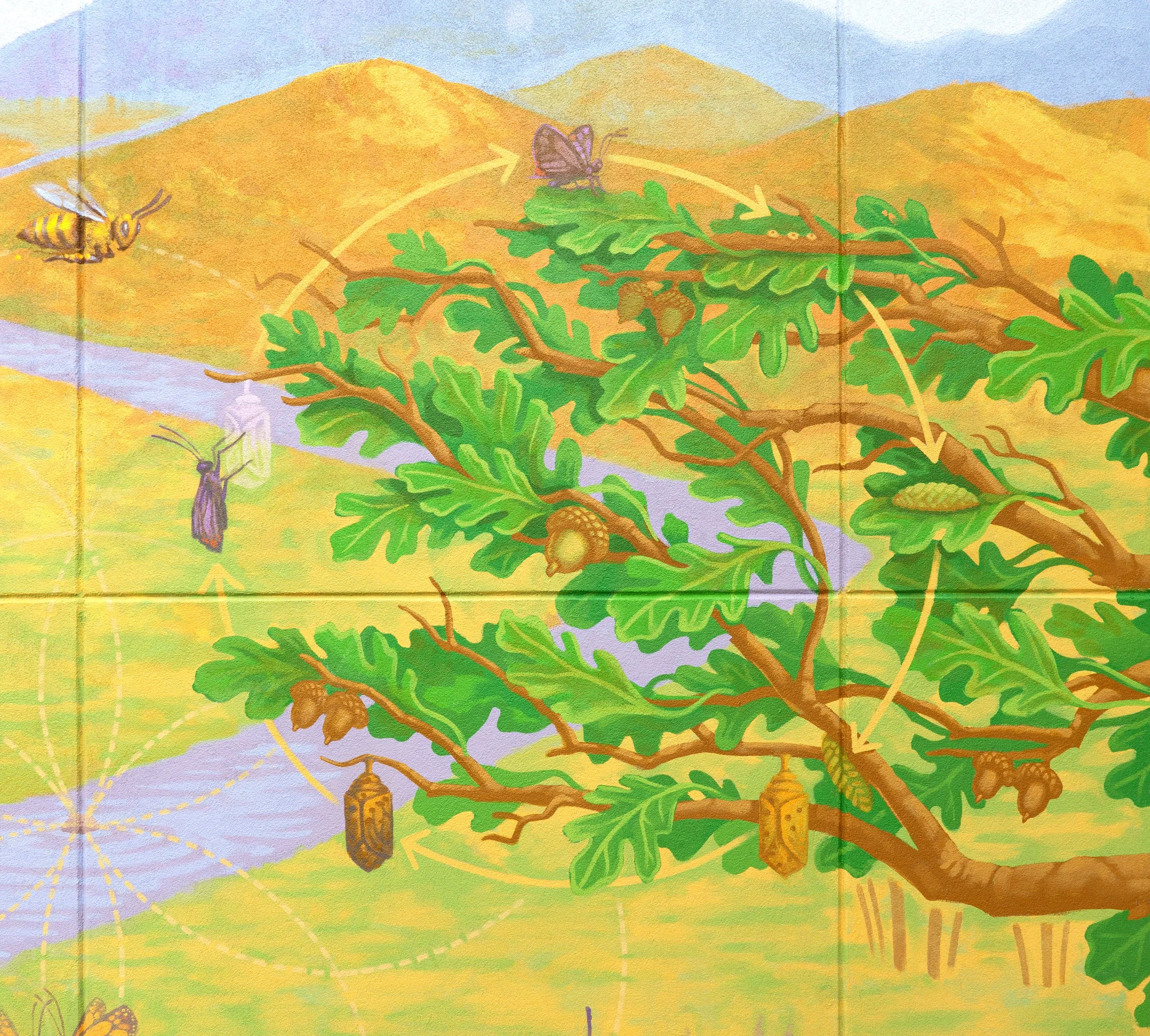 Pollinator_Mural_GambelOakTree.JPG