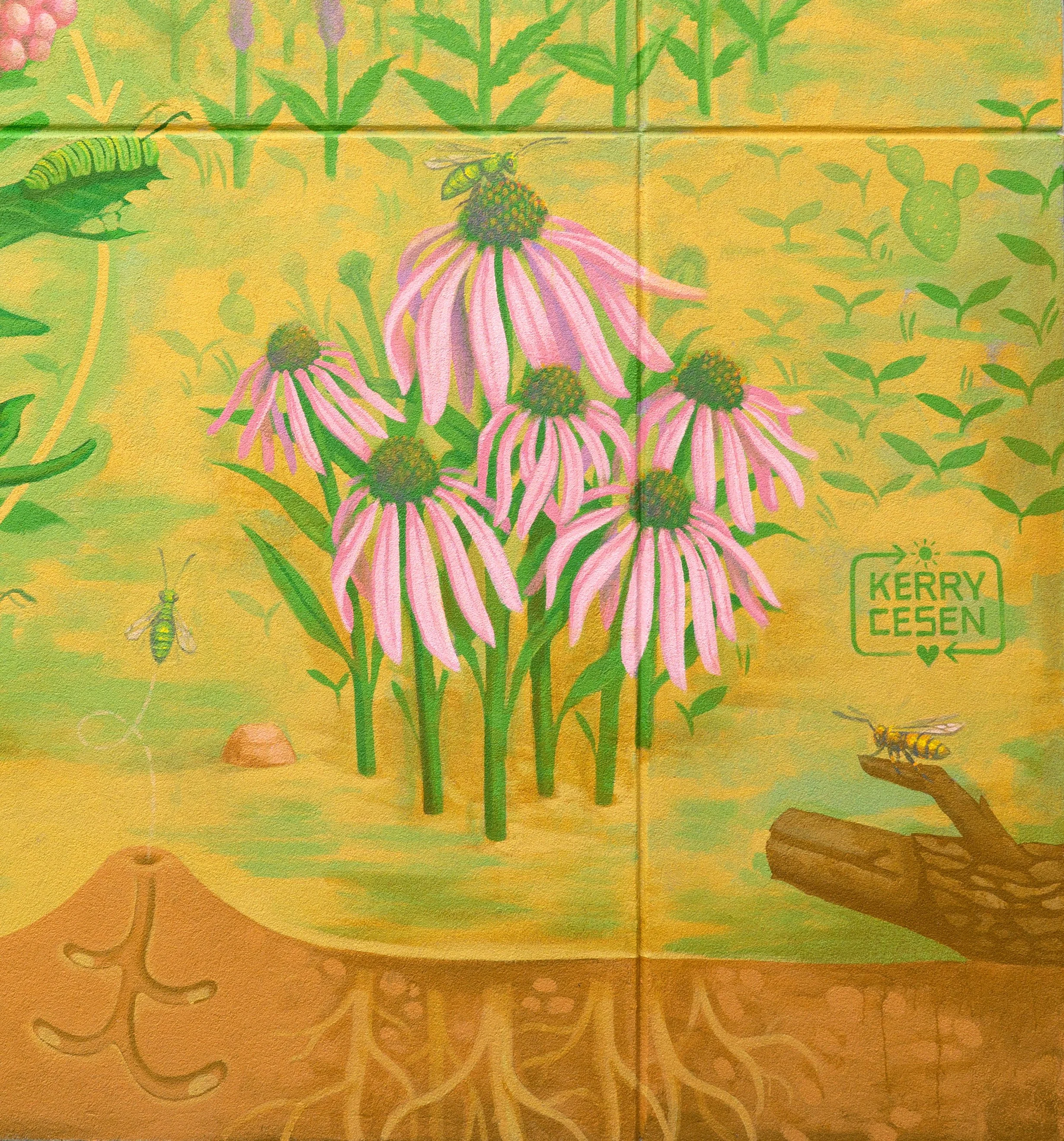 Pollinator_Mural_PurpleConeflower_2.JPG