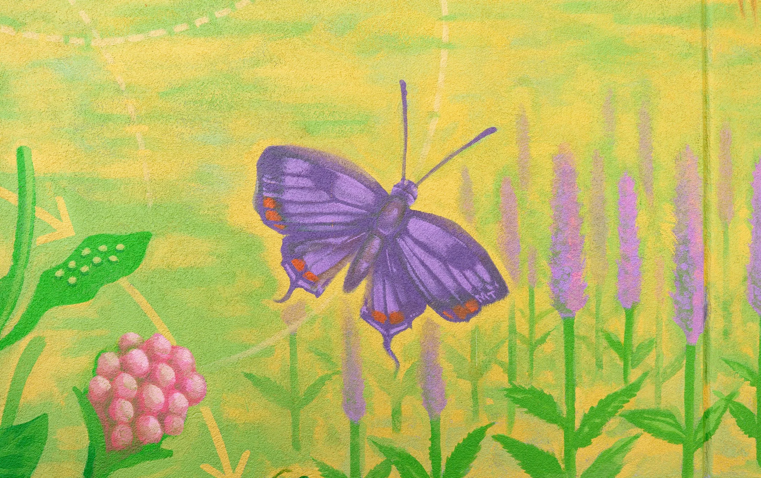 Pollinator_Mural_PurpleHairstreakButterfly.JPG