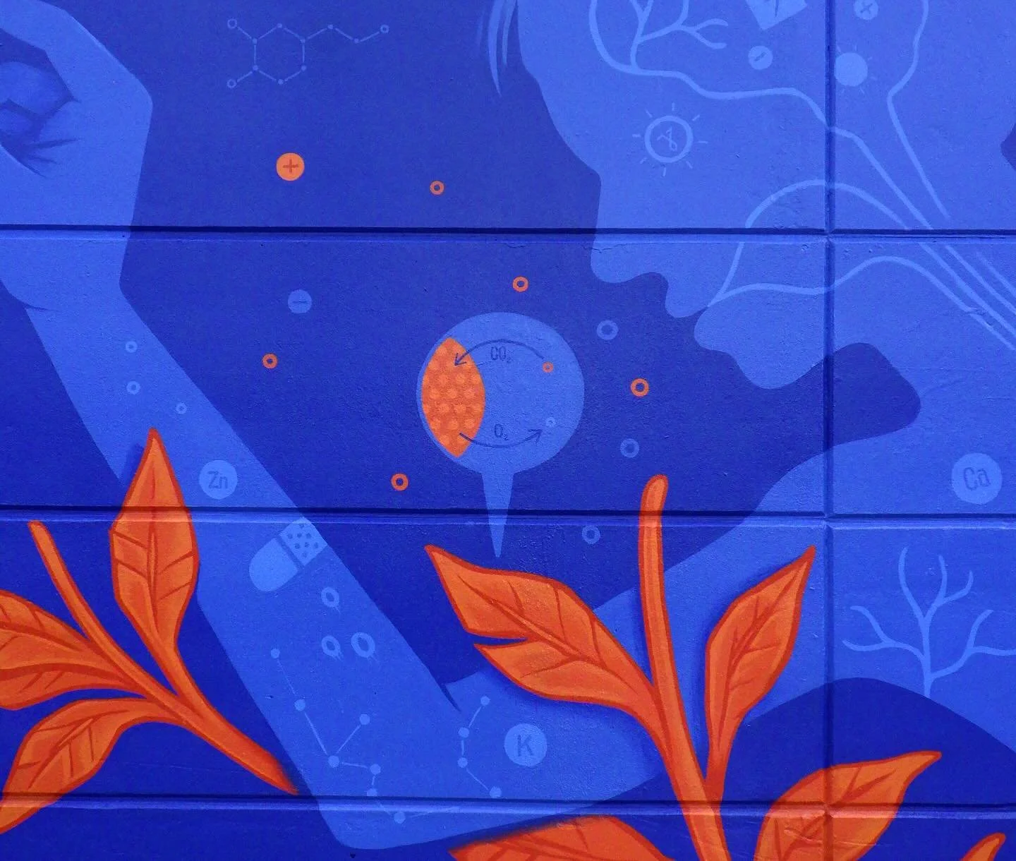 Detail photos of this recent mural - created in partnership with @hcahealthone and @denverparksrec for a series of murals being painted by local artists this summer along the Platte and Cherry Creek Trail - under the title of &ldquo;THE ONE&rdquo; - 