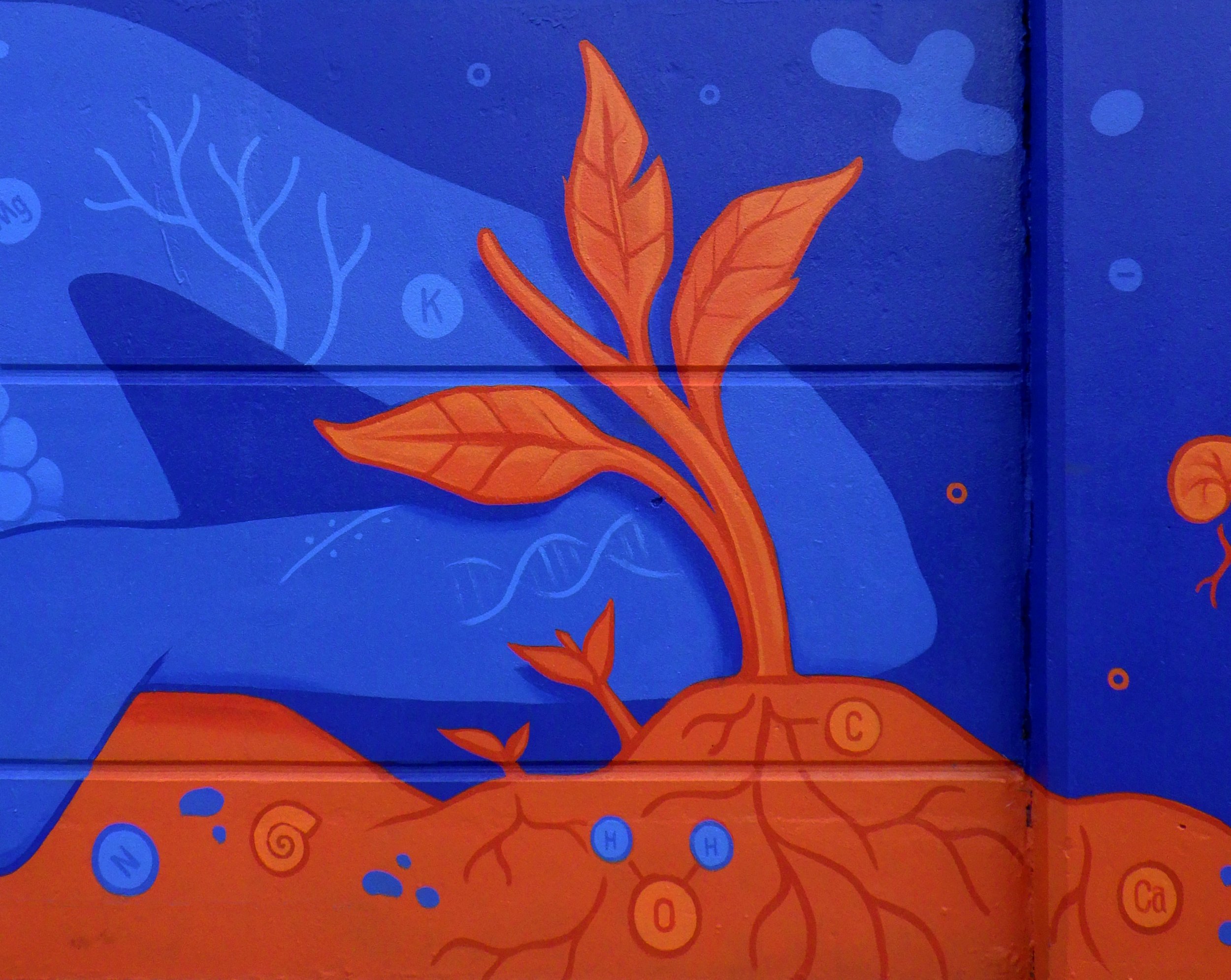 05_Girl_plant-detail.jpg