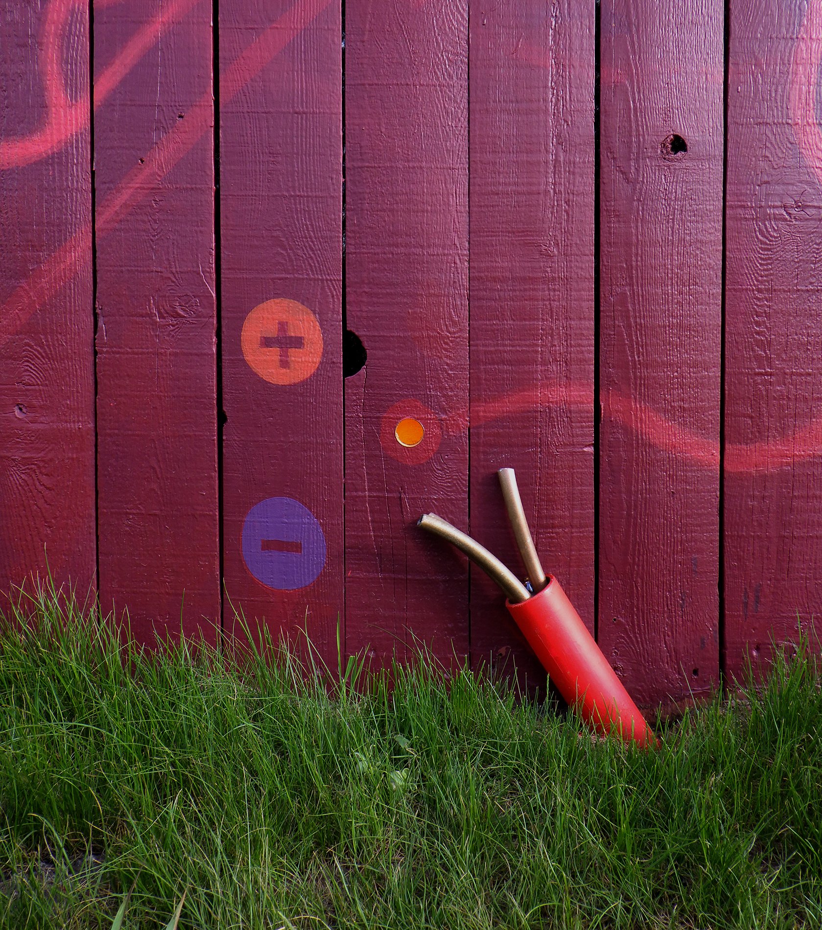 Red_Ground-wire-polarity_detail_1900px.jpg