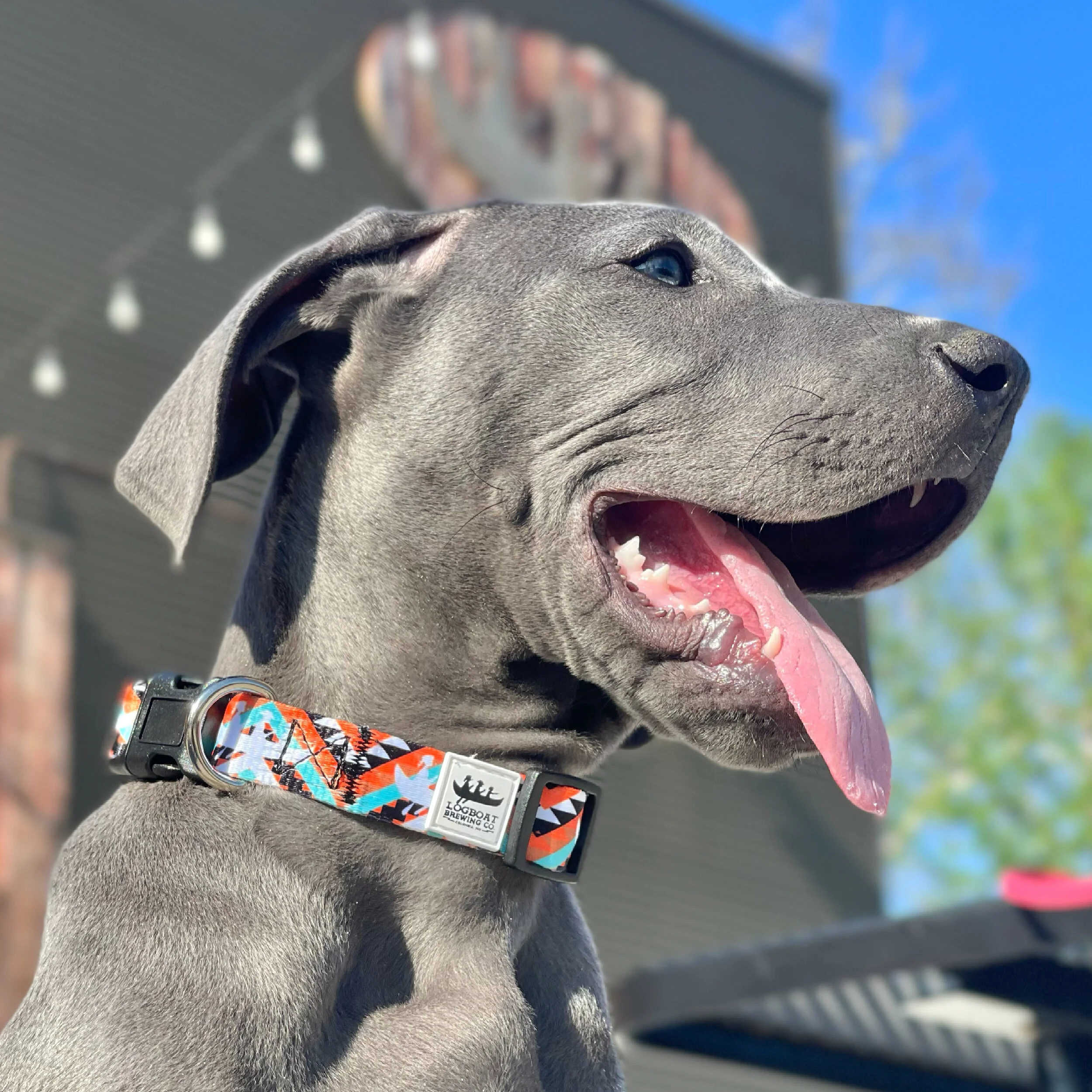 aztec dog collar