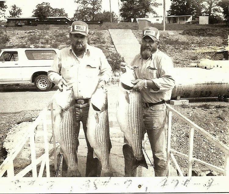 Pontiac_Boat_Dock__now_Pontiac_Cove_Marina_on_Bull_Shoals_Lake.jpg