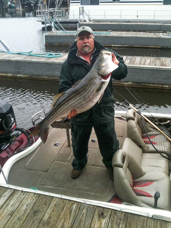 Fishing_on_Bull_Shoals_Lake_out_of_Pontiac_Cove_Marina.jpg