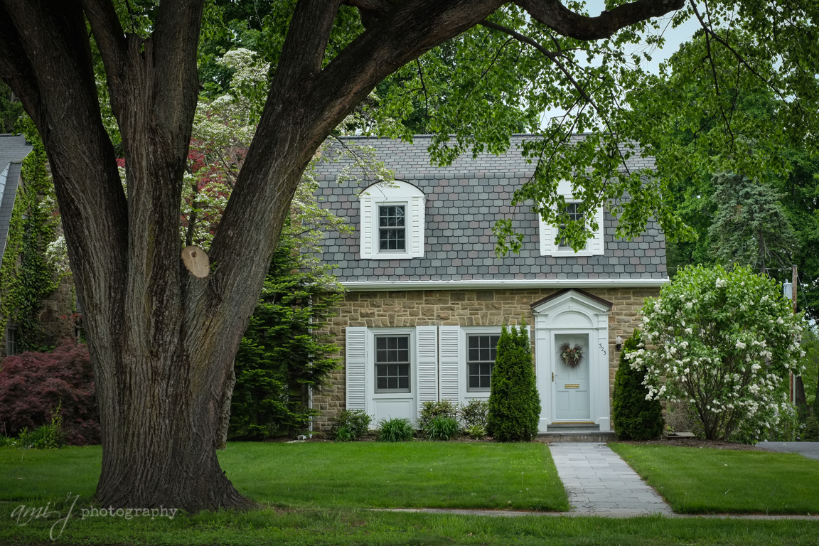 Cozy Cottage
