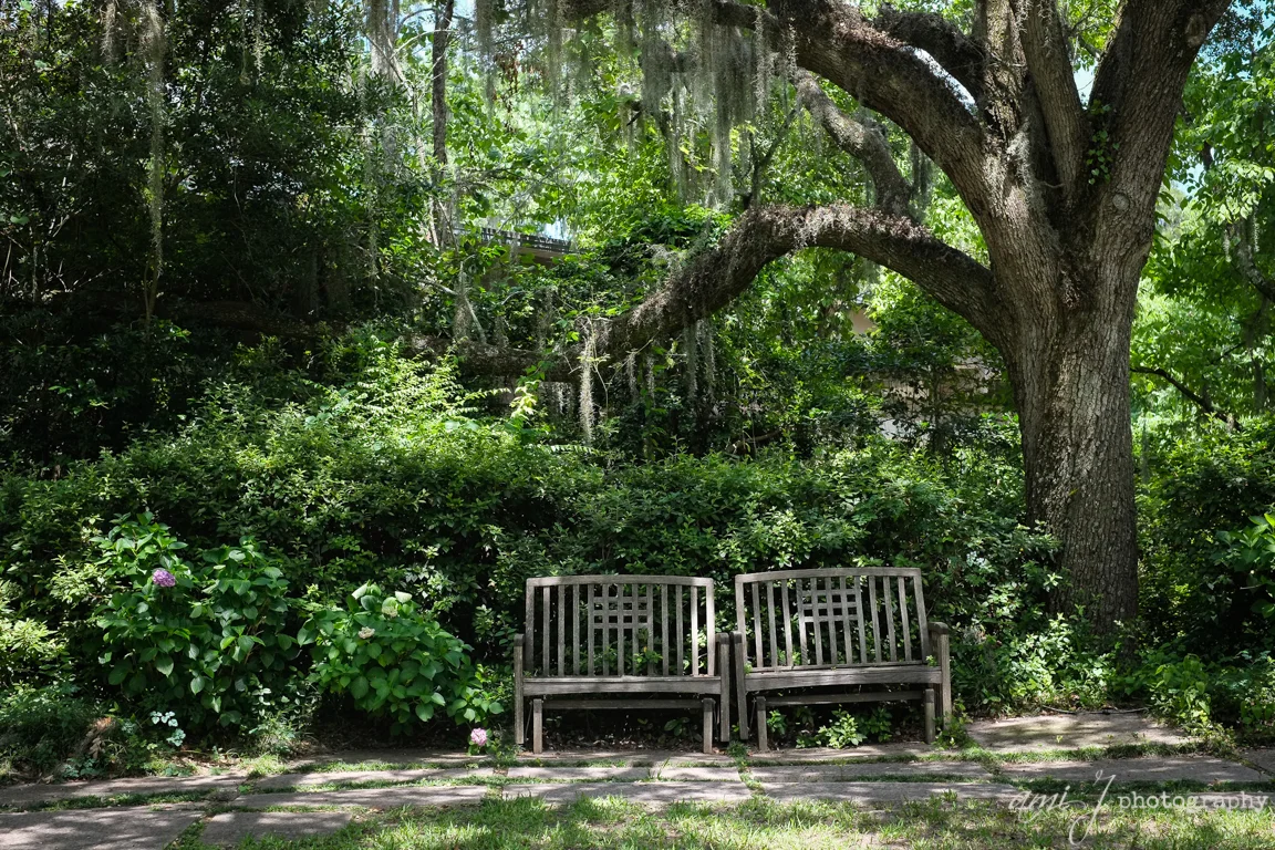 Brookgreen Gardens | Away from the Kitsch
