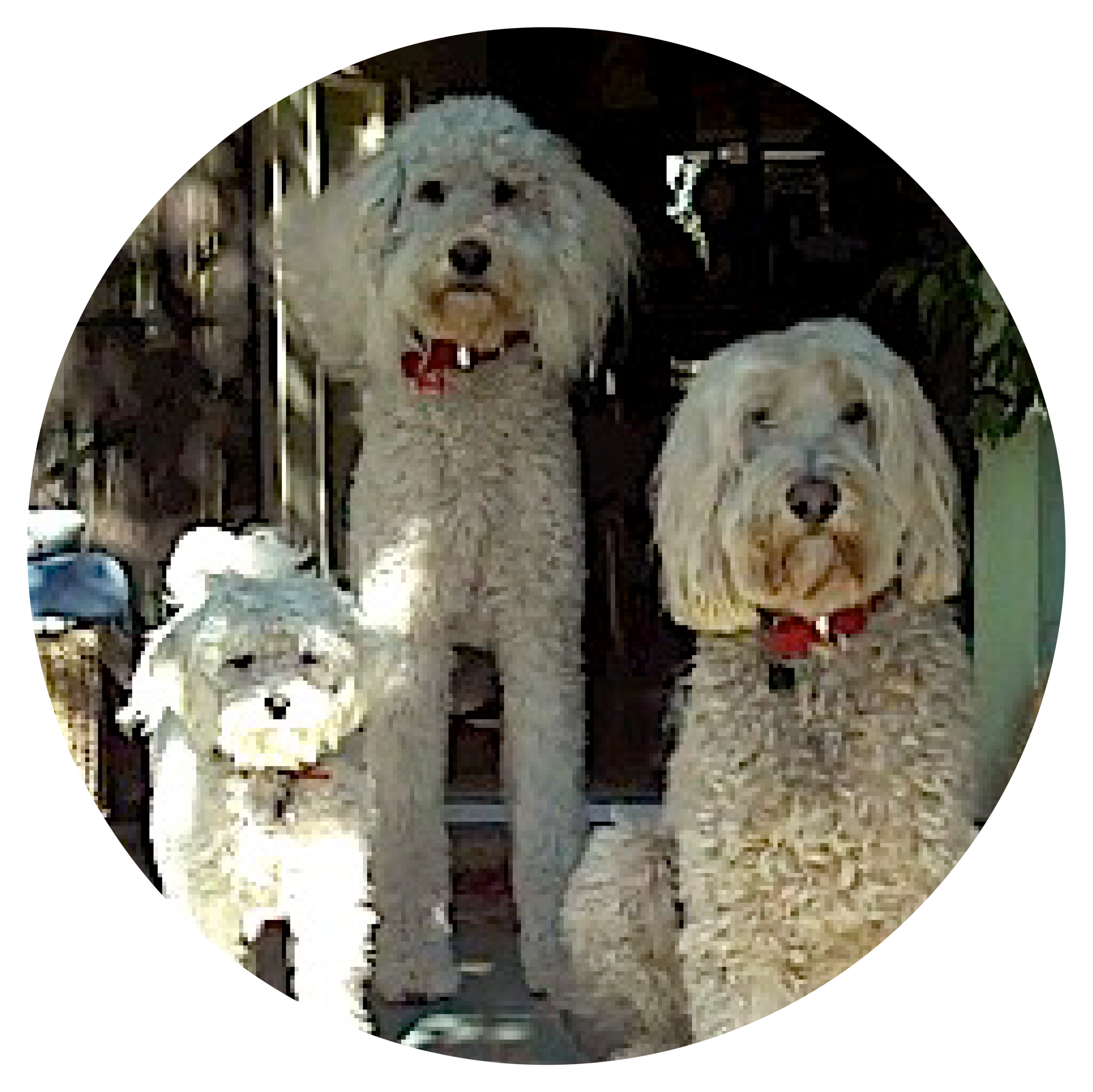 The Kids of MarioSiART_Murphy Woofie Howie.png