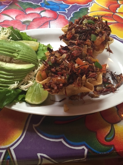 Those sexy grasshoppers!