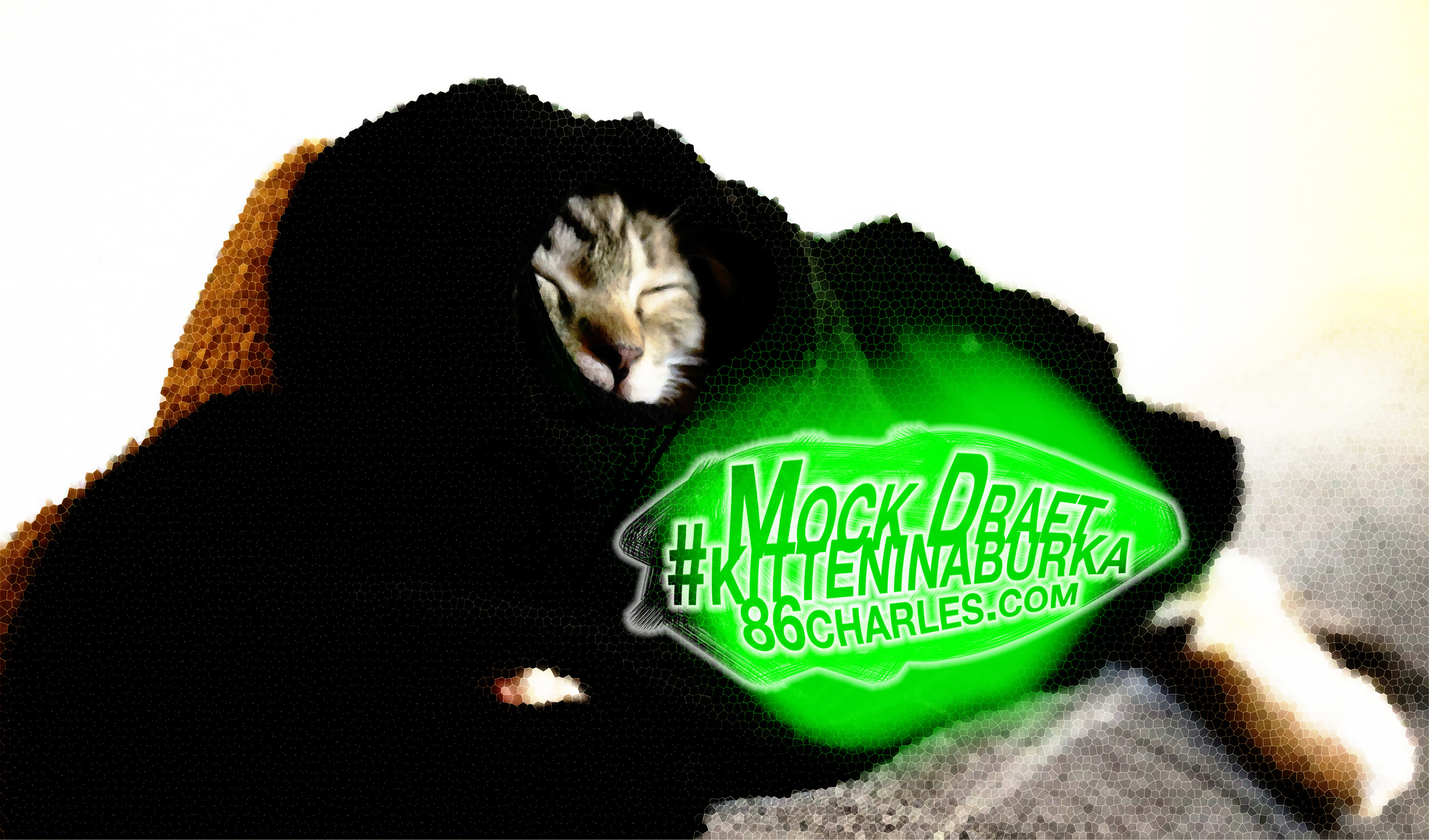 Mock Draft #kitteninaburka