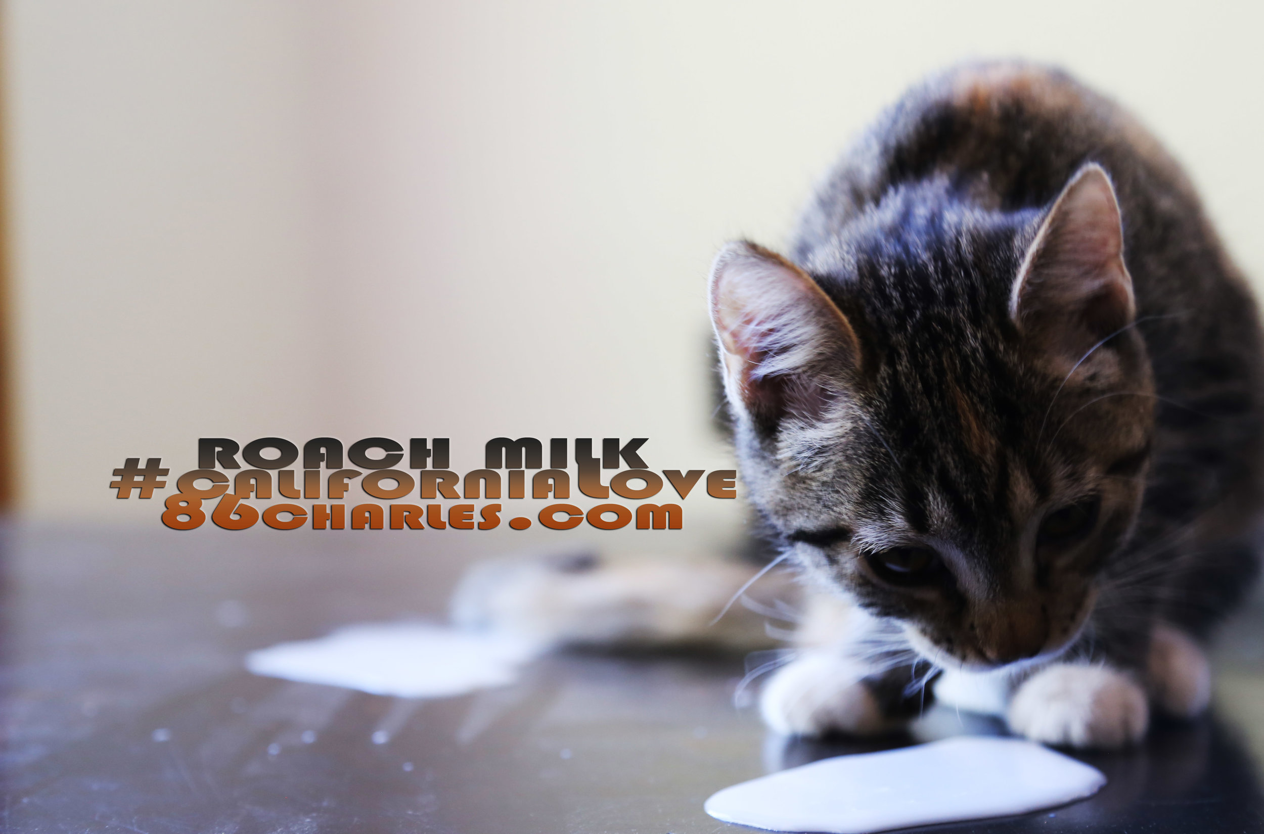 Roach Milk #CaliforniaLove