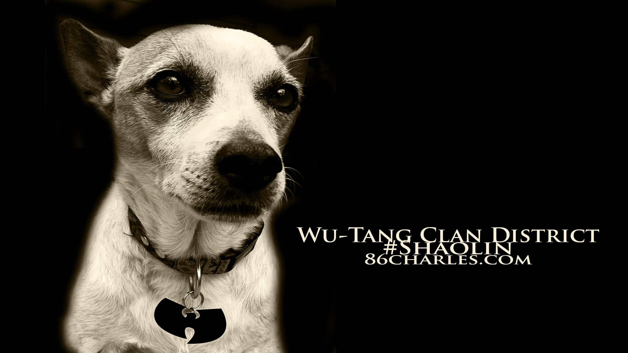 Wu Tang Clan District #Shaolin