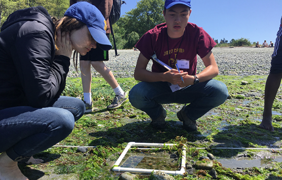 Helping Junior Leaders conduct intertidal zone surveys at Golden Gardens beach. Photo by Maile Sullivan, Washington Sea Grant.