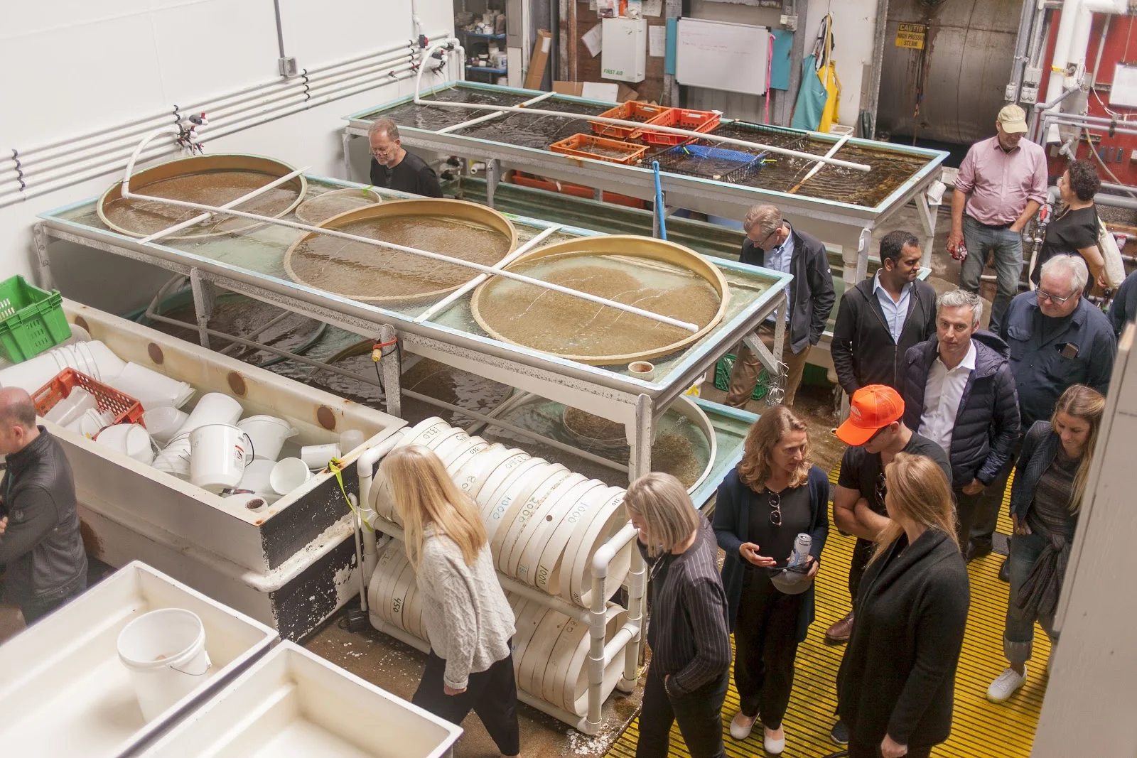 Taylor Shellfish Hatchery. Photo by Marina Piedade, Van Alen
