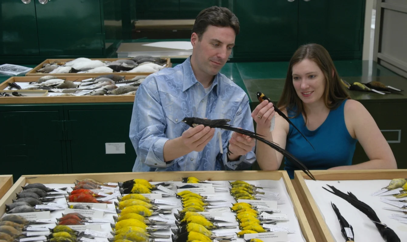 With my PhD advisor, Chris Witt , in the Museum of Southwestern Biology collection examining some of the specimens used in our study on genome size evolution.