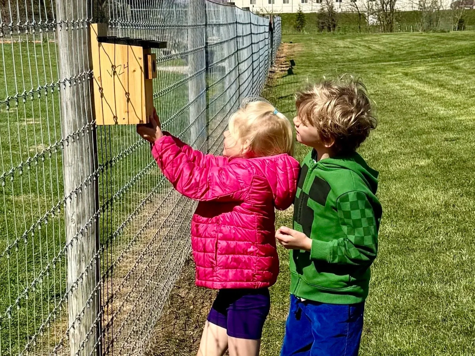 two kids look at a bluebird nest box