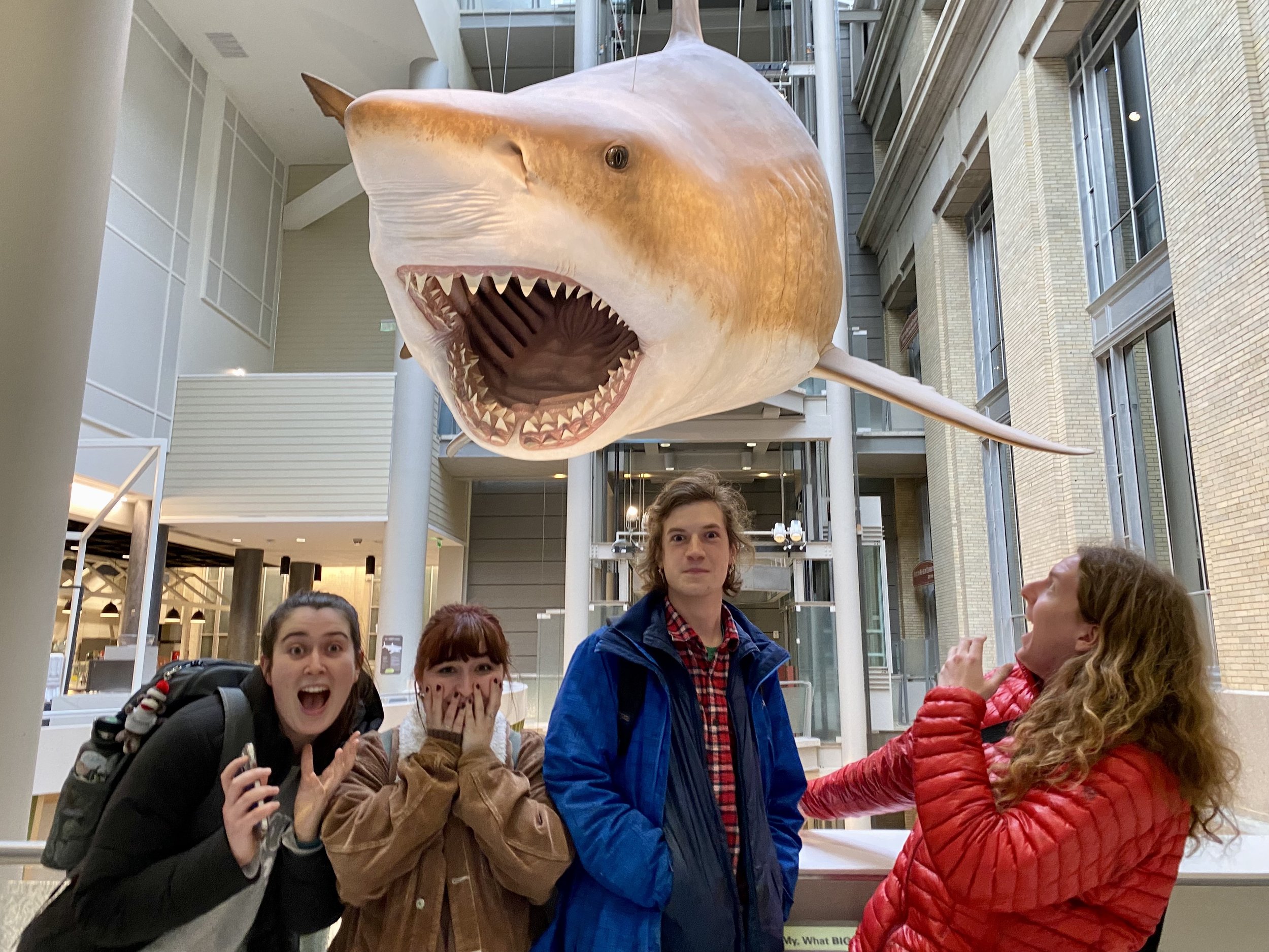 WrightLabGroup2023SharkAttack.jpeg