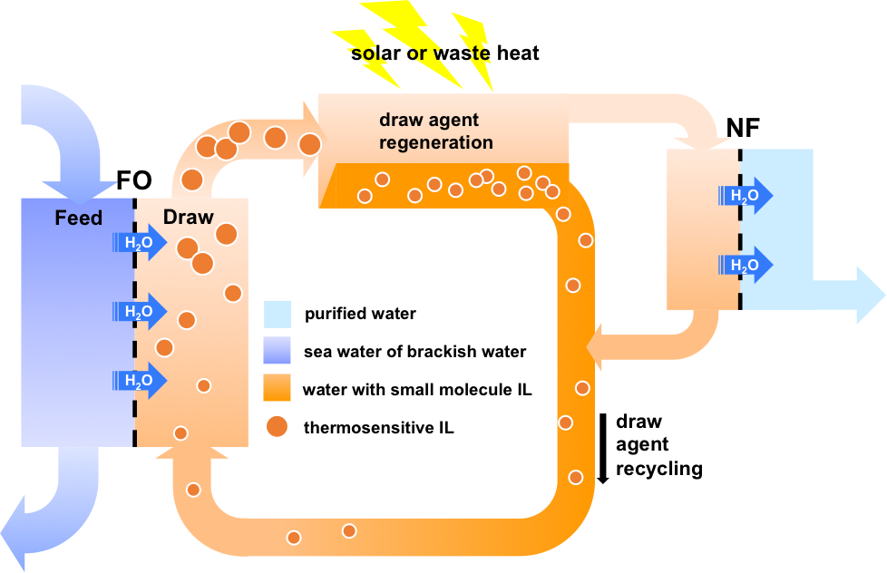 Fig4.png