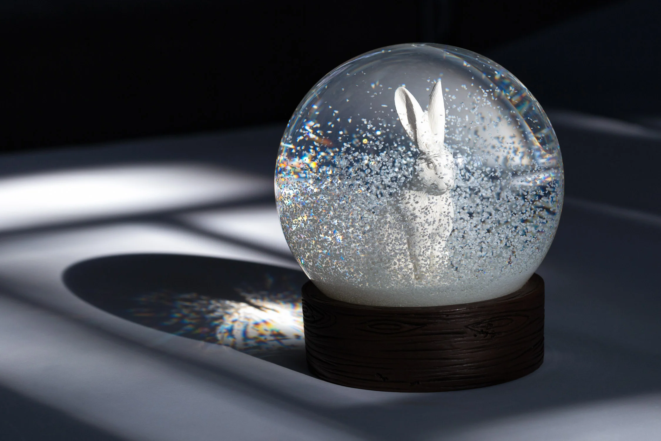white rabbit_product_website.jpg
