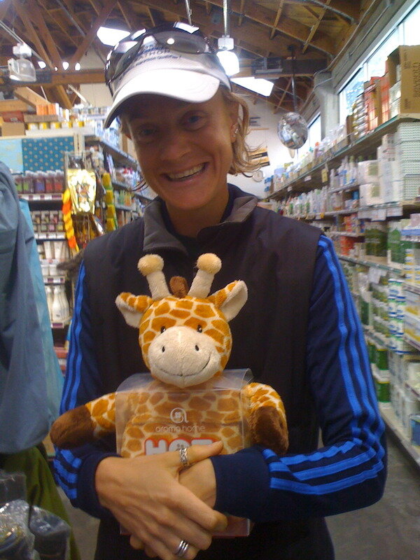 A zebra hugging a giraffe.