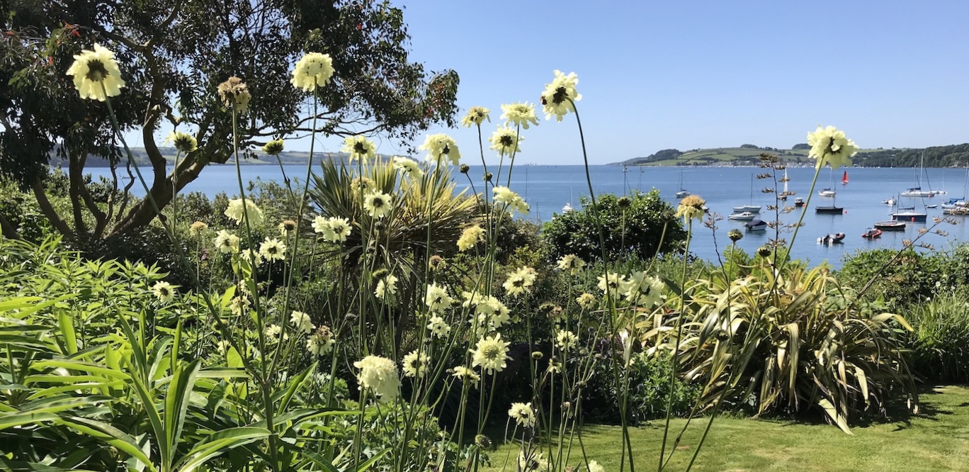 Gardener Cornwall Horticulturist Juniper Gardens Specialist.jpg