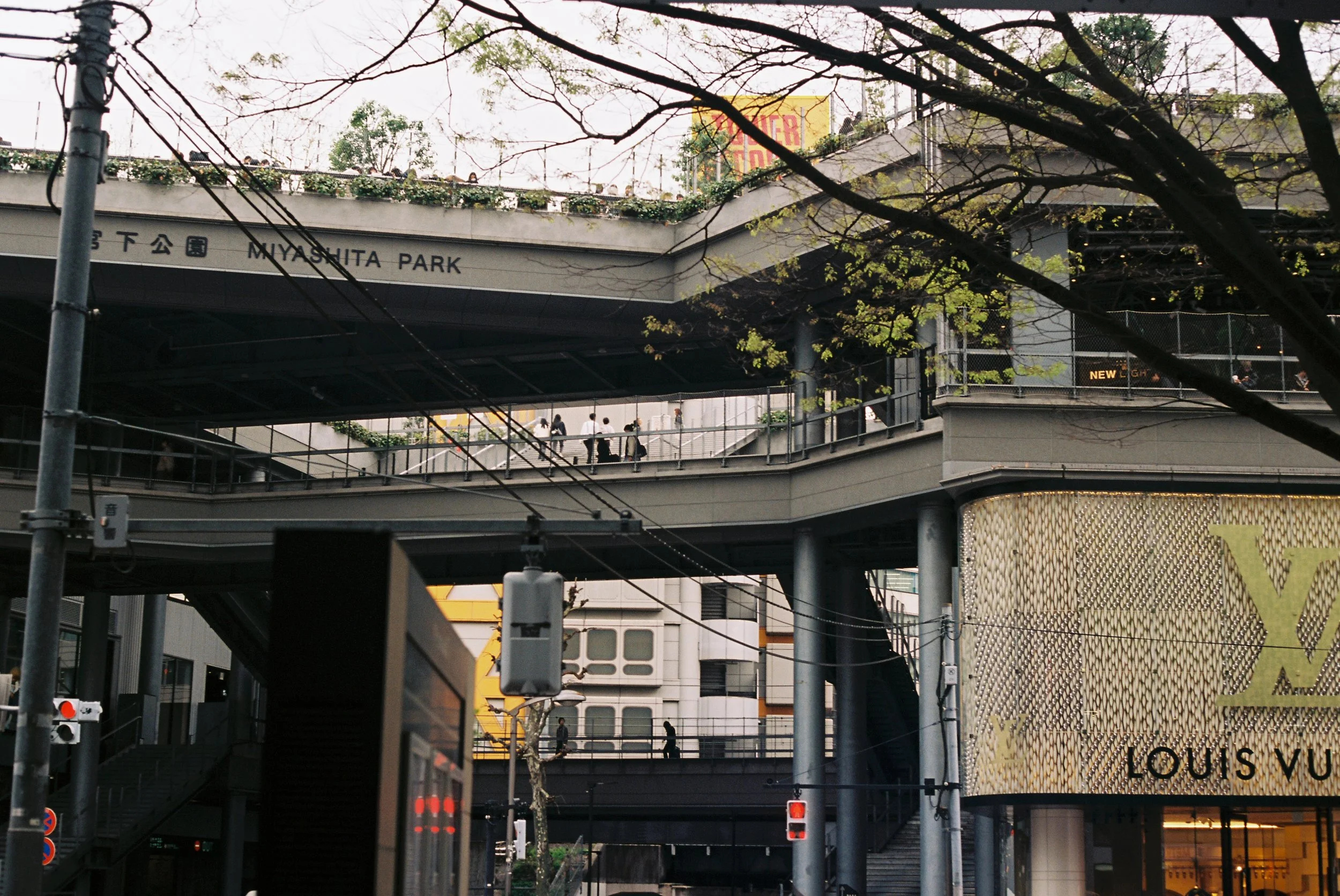 DaniSar_DaniSar-R1-026-11A.jpg