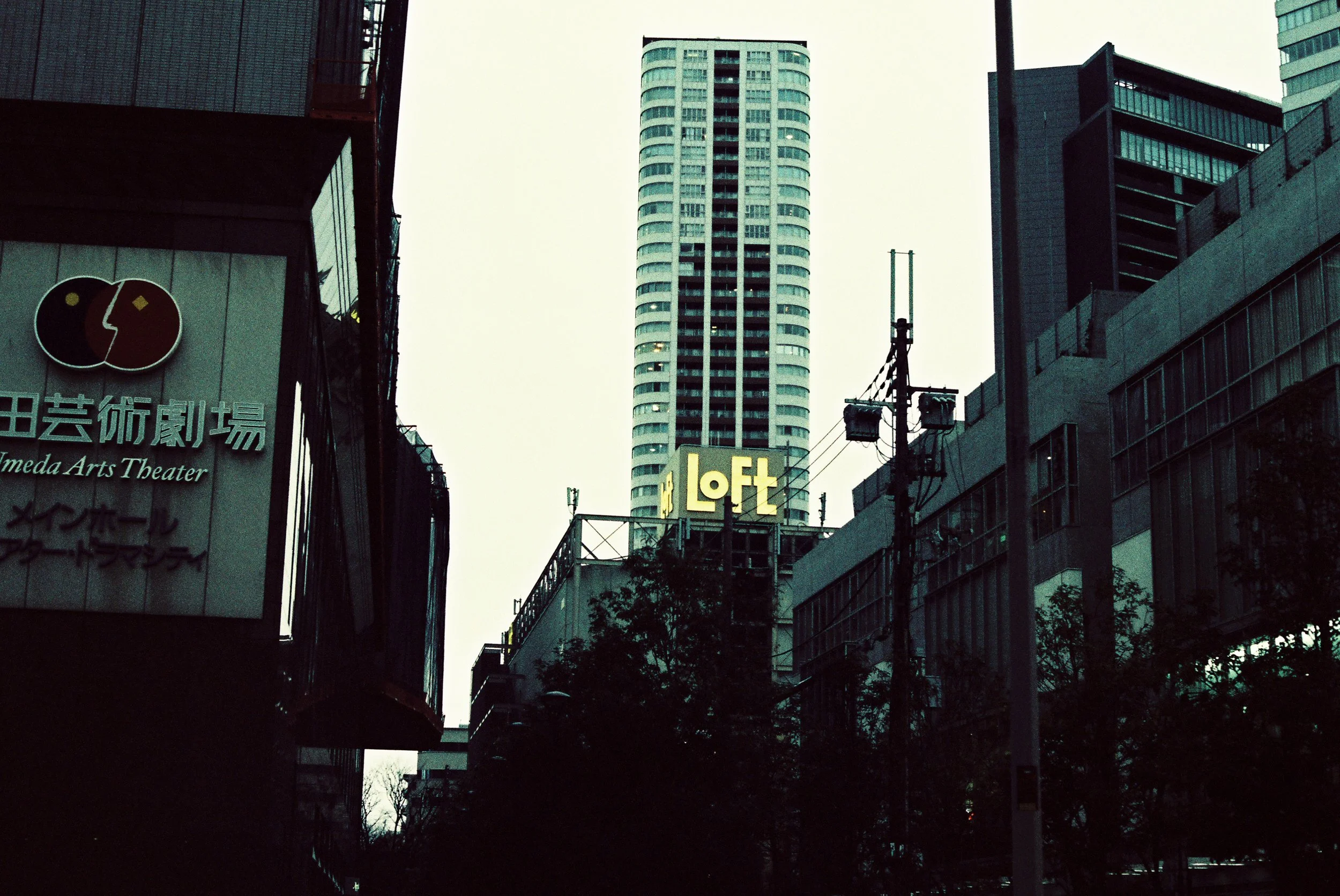 DaniSar_DaniSar-R6-E185.jpg