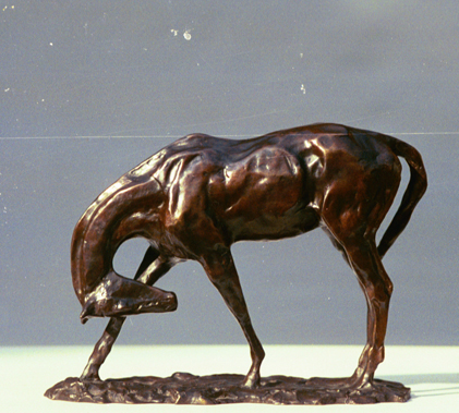 Charles Rumsey Horse Scratching
