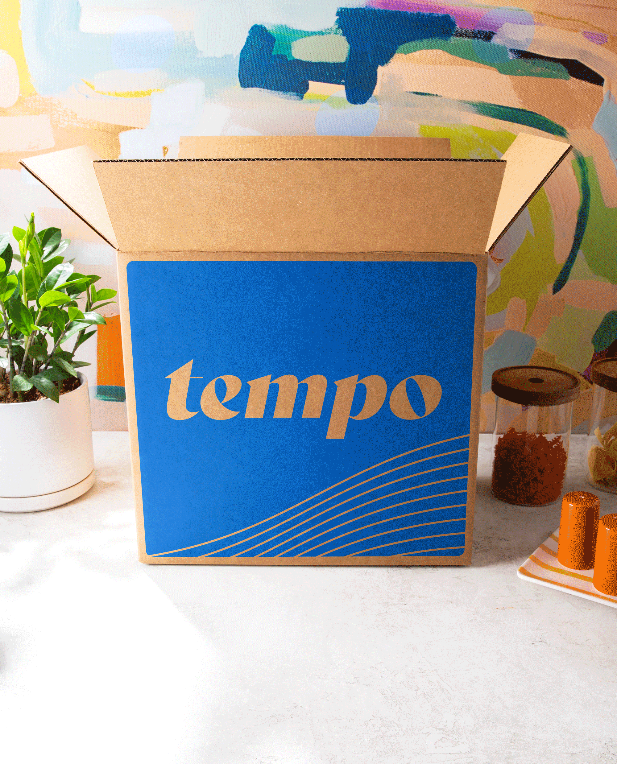 GIF_TempoPackaging_Day1_155.gif