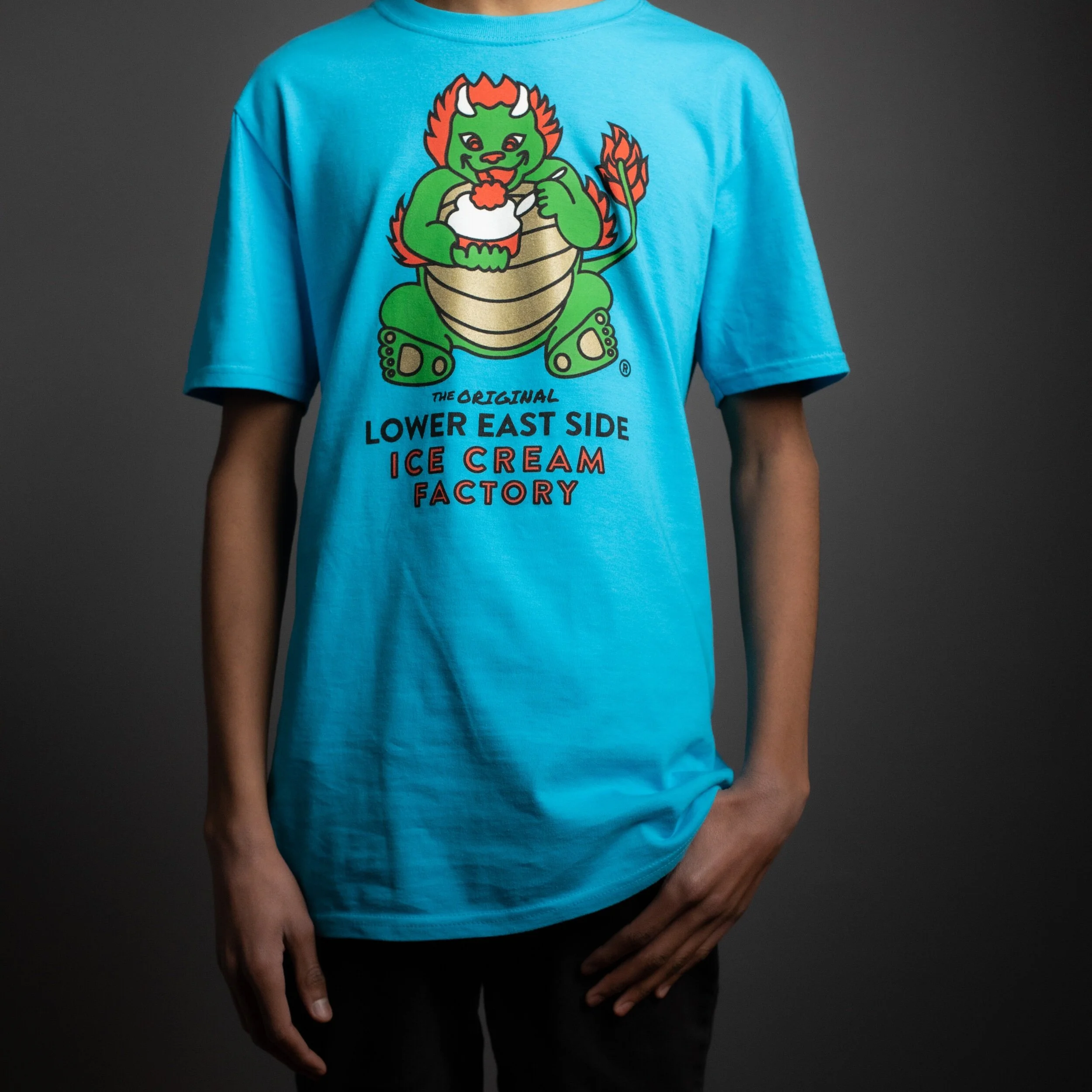 Lower East Side Ice Cream Factory T Shirt Chinatown Ice Cream Factory