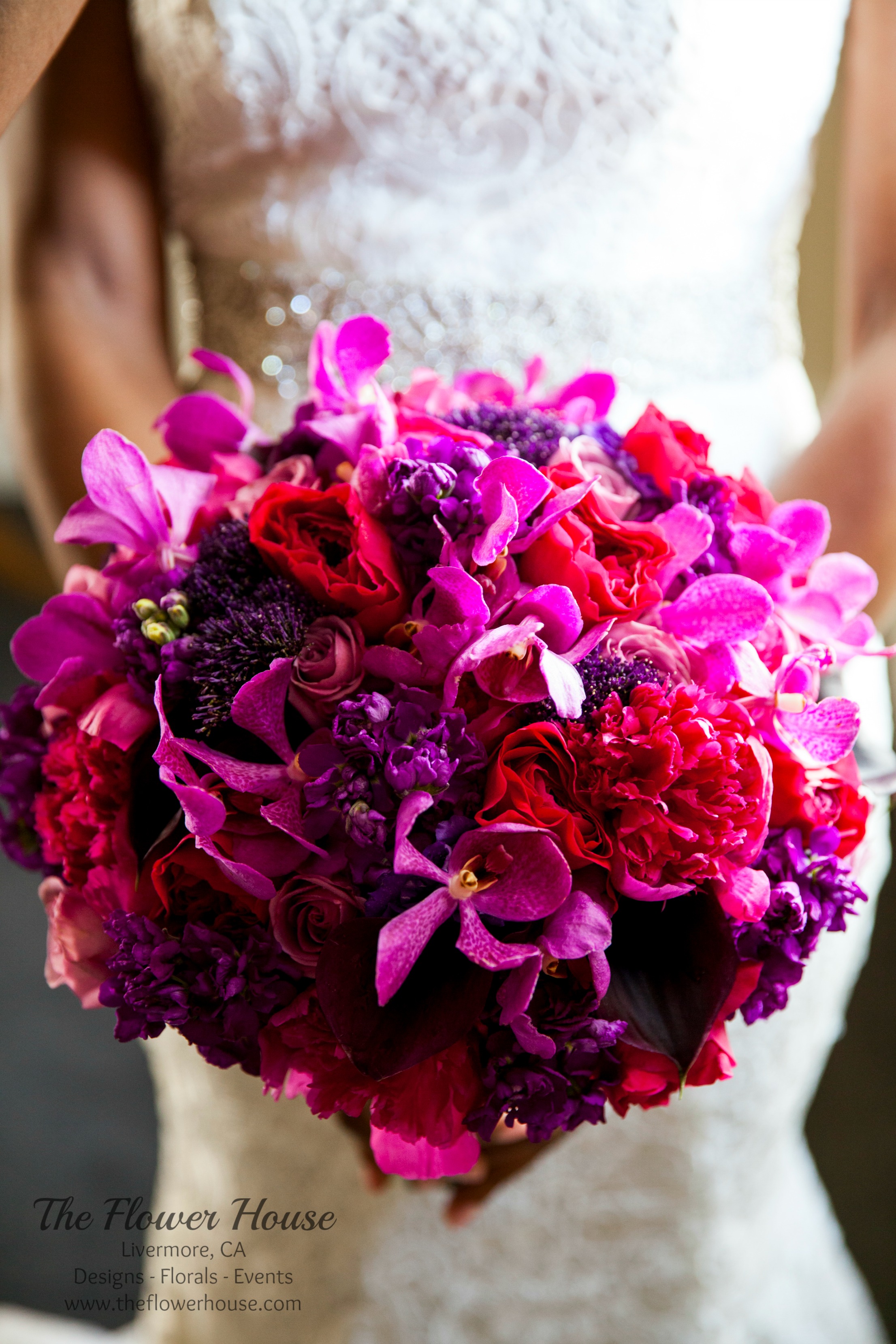 wm.Nightingale Photography23.jpg