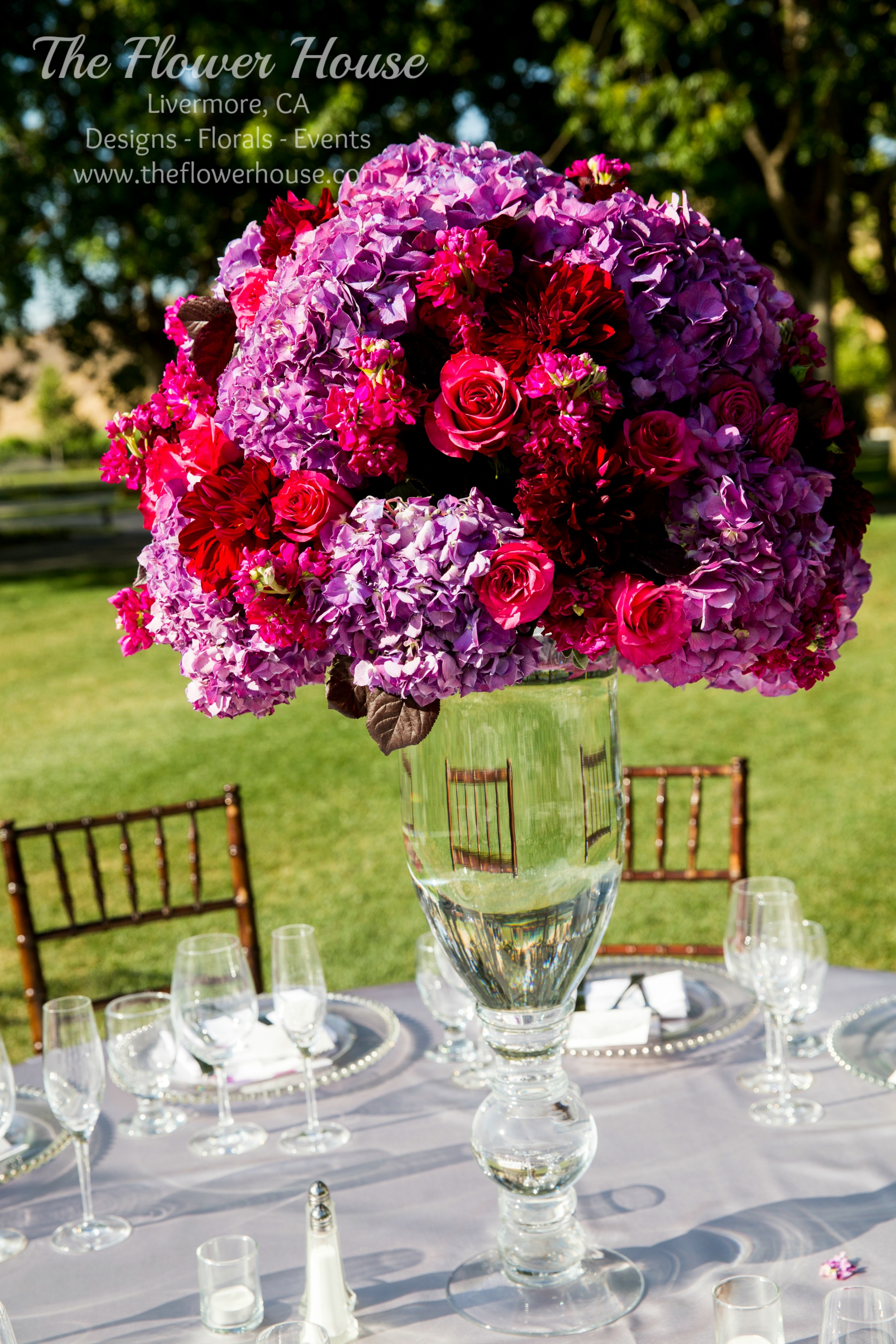 wm.Nightingale Photography37.jpg