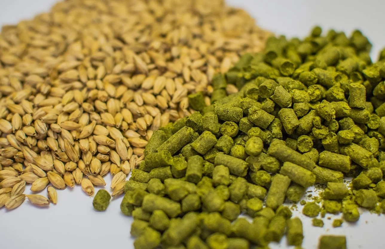 grains and hops.jpg